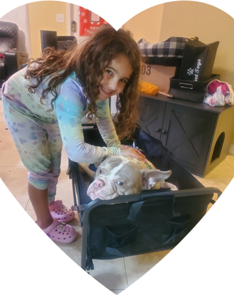 Marley Needs Surgery ASAP: Please Help campaign photo, 5 of 8
