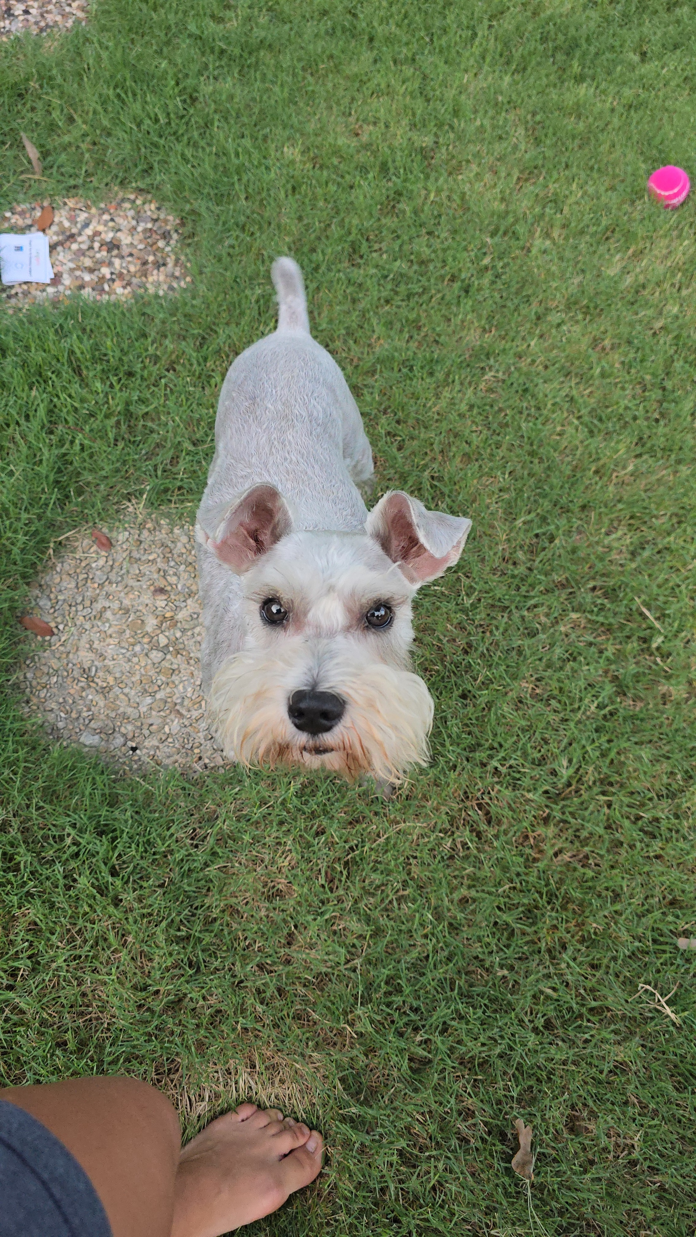 Urgent Care Needed for Sweet Dory campaign photo, 5 of 6