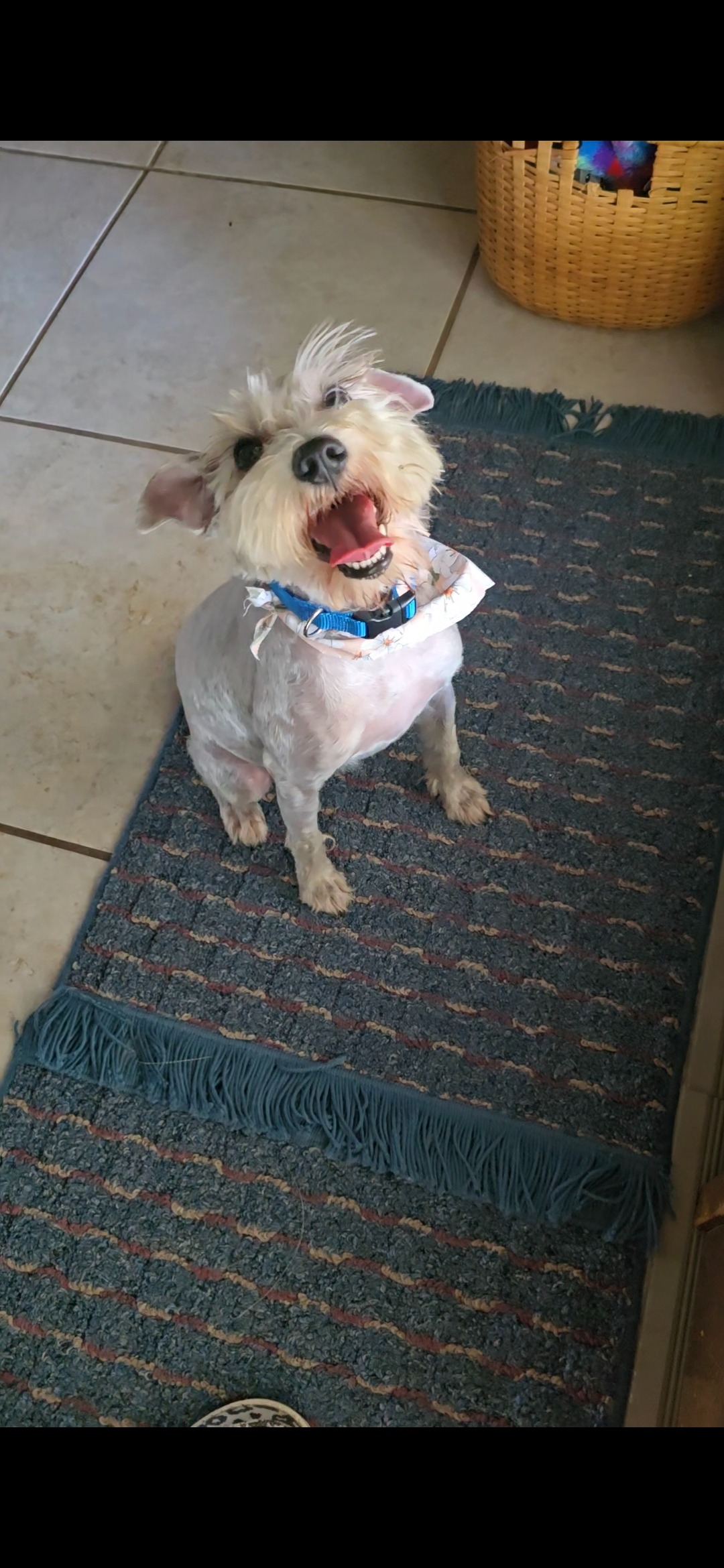 Urgent Care Needed for Sweet Dory campaign photo, 2 of 6