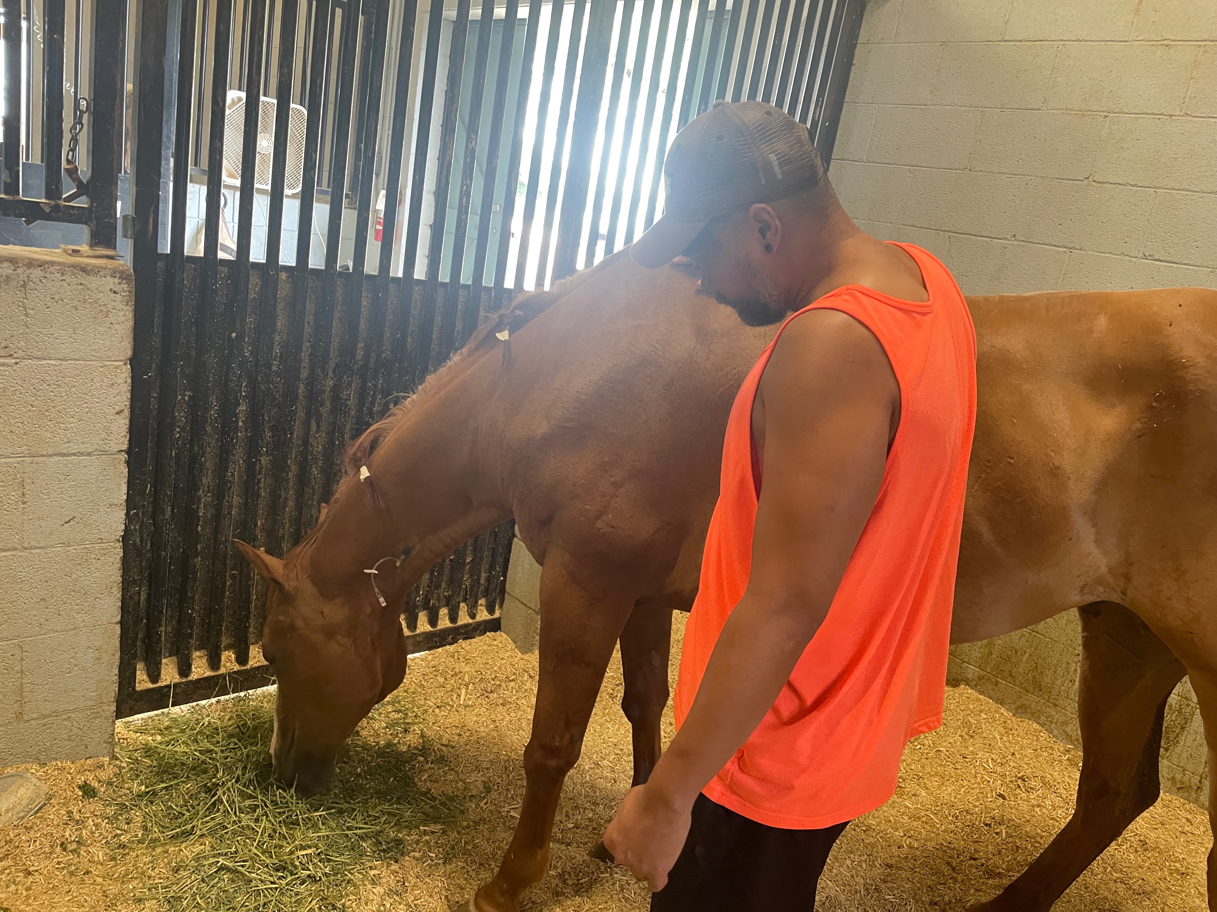 Knuckles vet bill campaign photo, 2 of 8