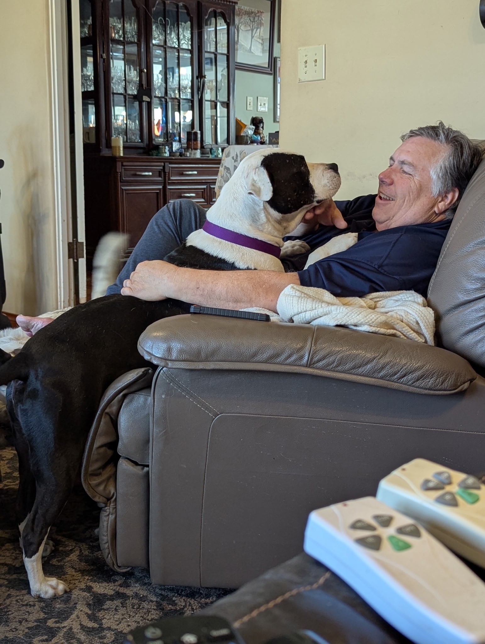 Save Dillan and Help Give a Sweet Soul His Happy Ending campaign photo, 2 of 7