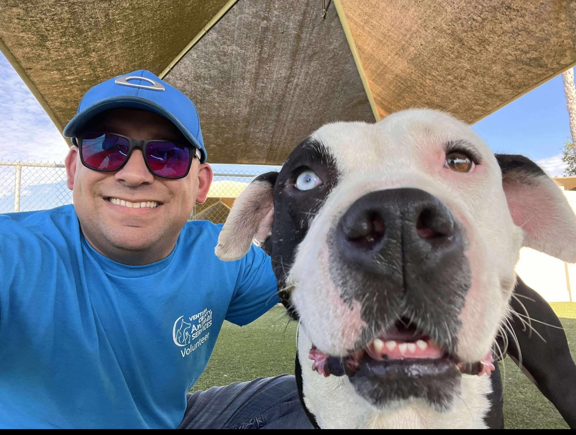 Save Dillan and Help Give a Sweet Soul His Happy Ending campaign photo, 4 of 7