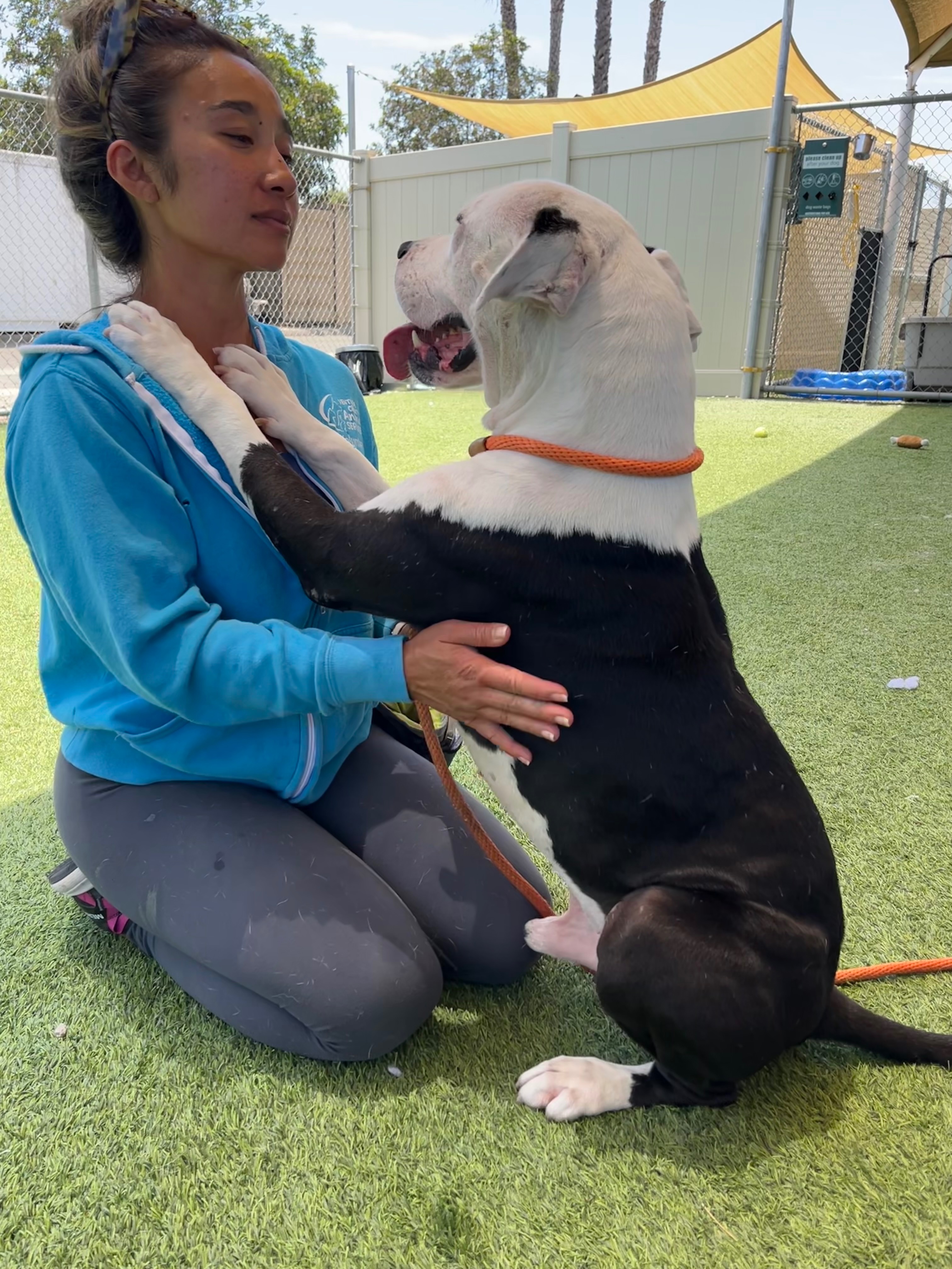 Save Dillan and Help Give a Sweet Soul His Happy Ending campaign photo, 6 of 7
