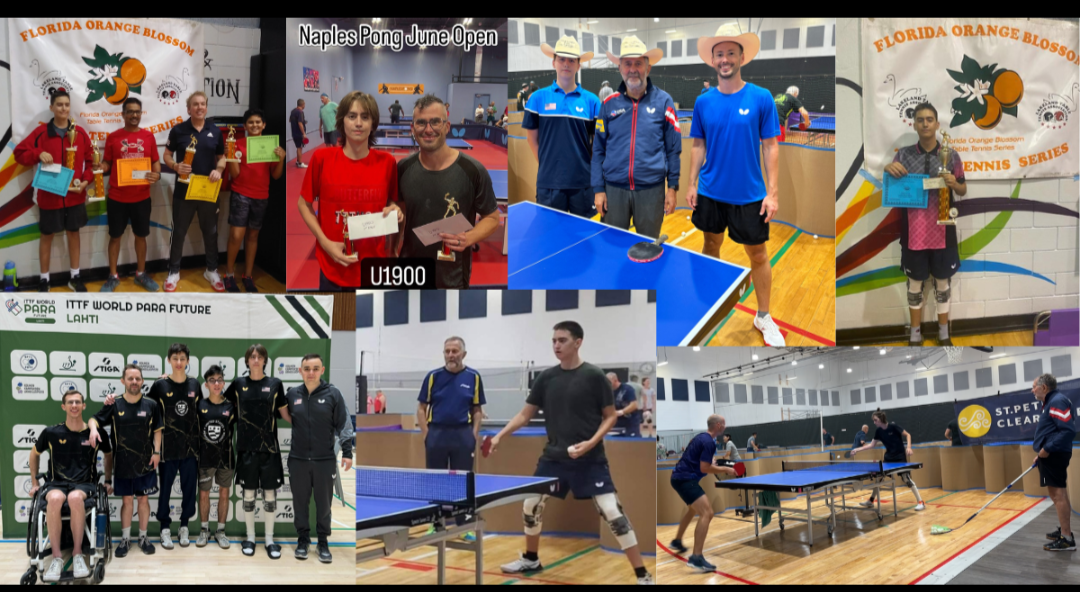 User-uploaded image 1