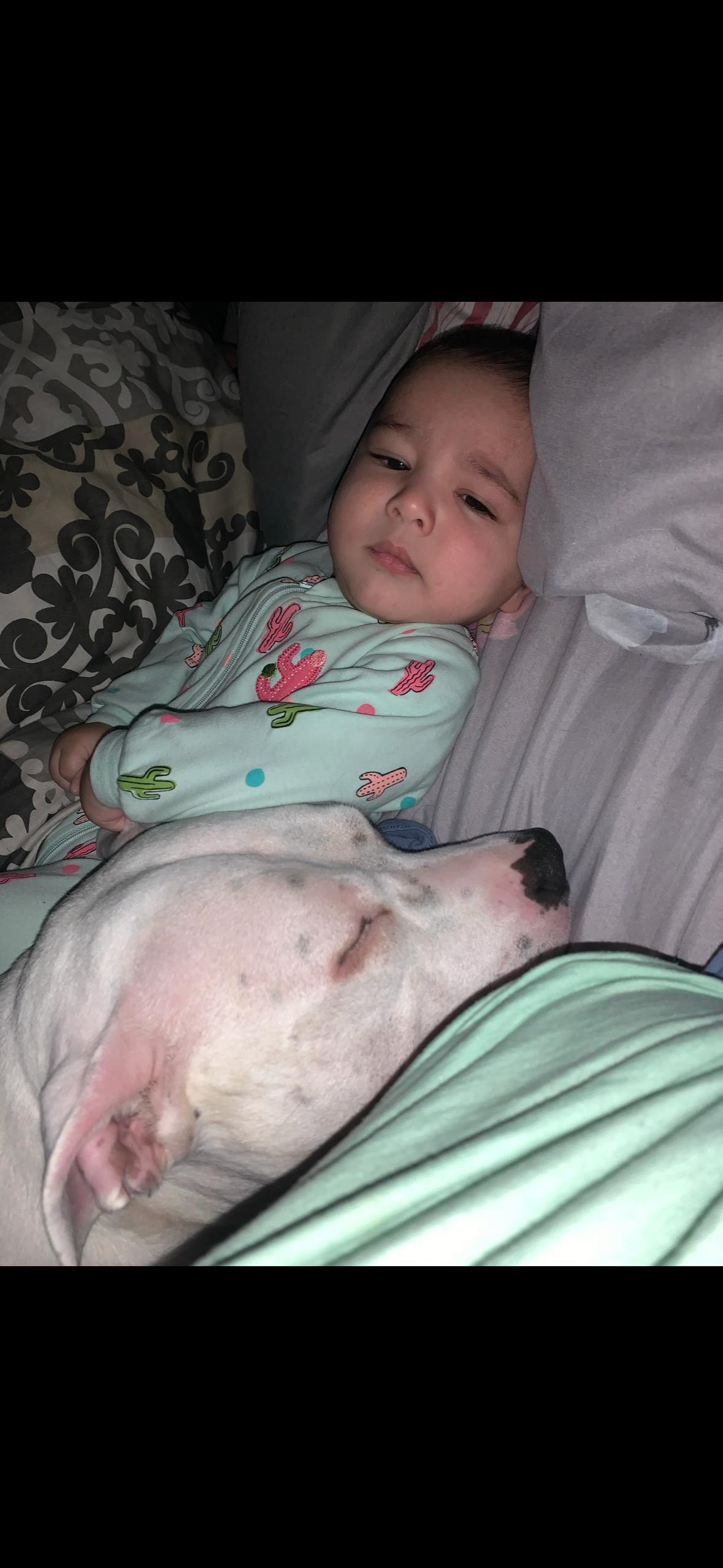 Donate to help get kilo the surgery she needs for her leg campaign photo, 6 of 8