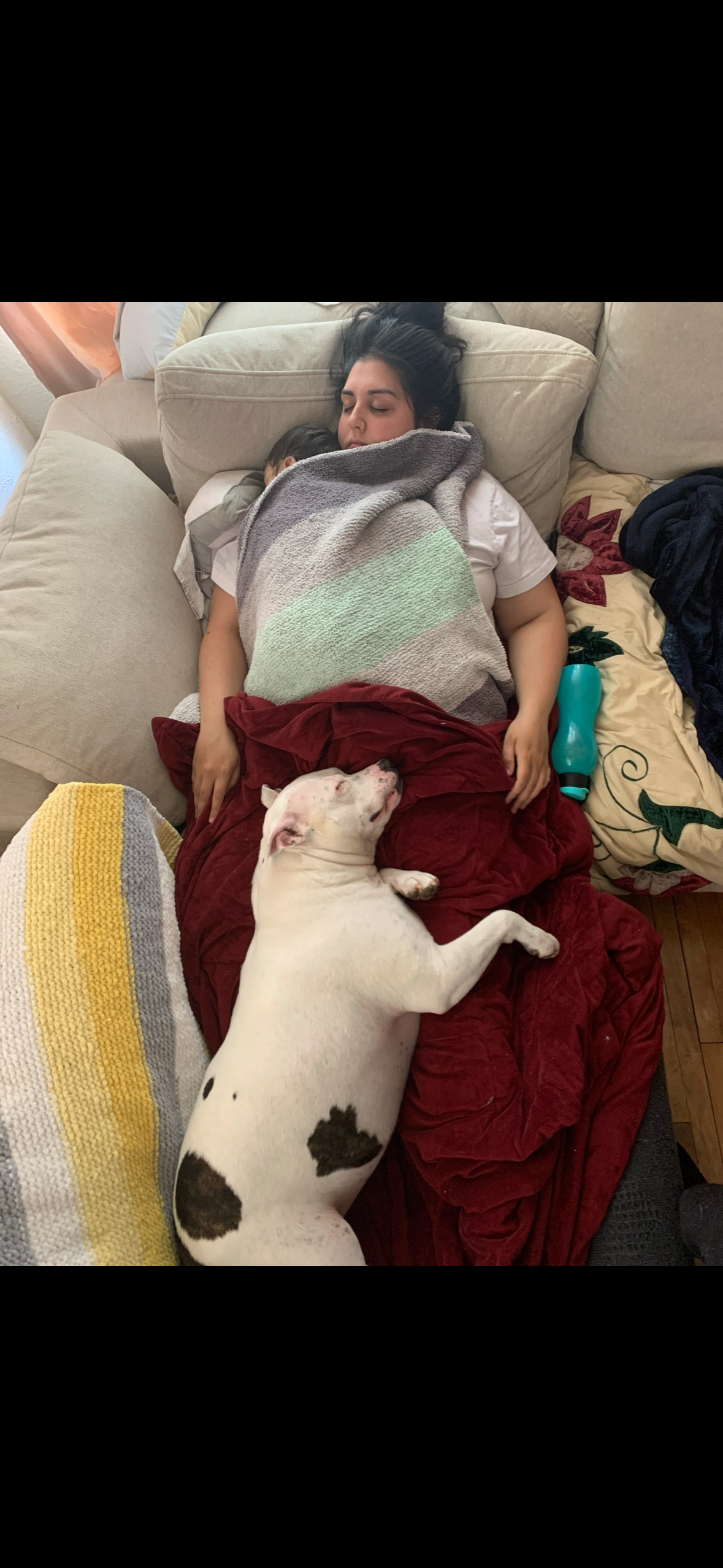 Donate to help get kilo the surgery she needs for her leg campaign photo, 5 of 8