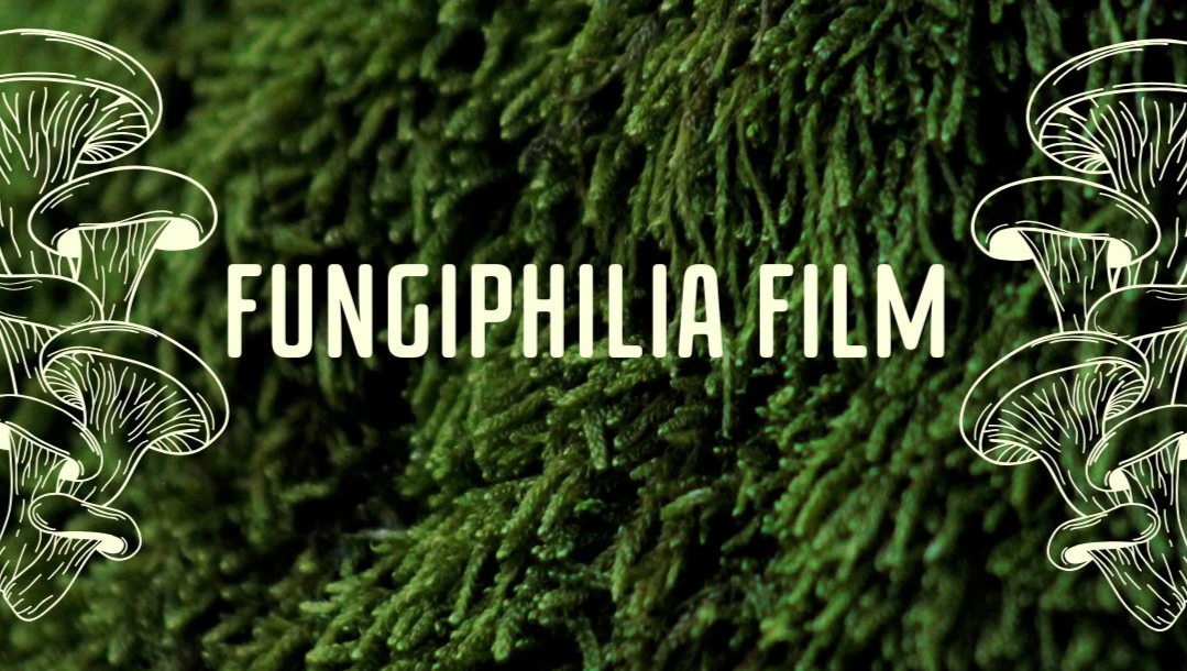 FUNGIPHILIA a film for the love of fungi photo