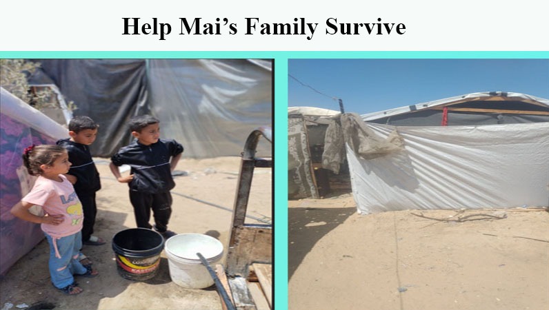 Help Mai's Family Survive campaign photo, 2 of 4