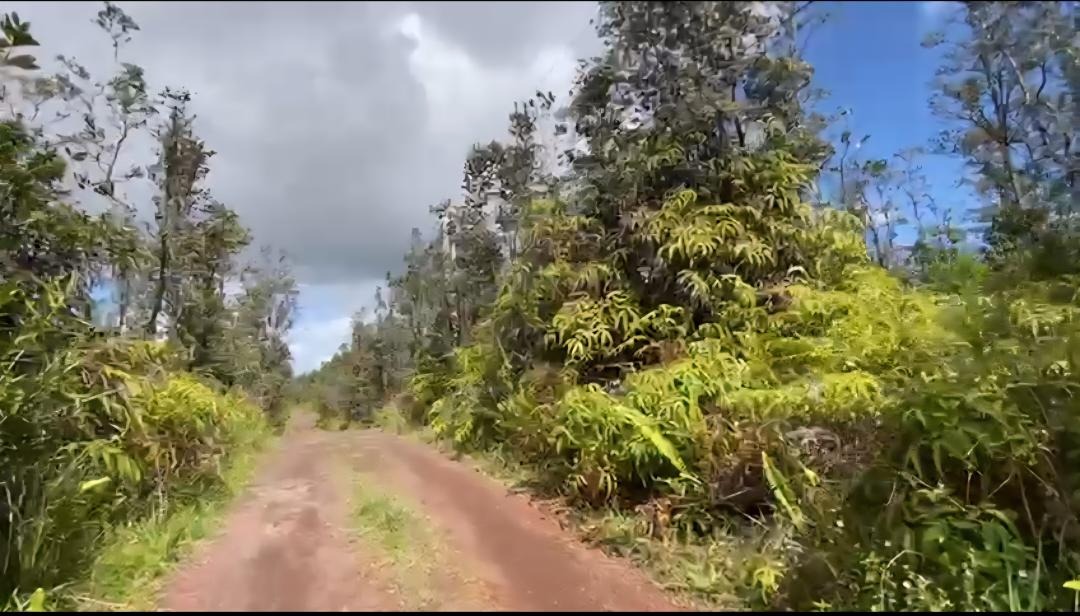 Support Our Sustainable Homestead in Hawaii campaign photo, 4 of 8