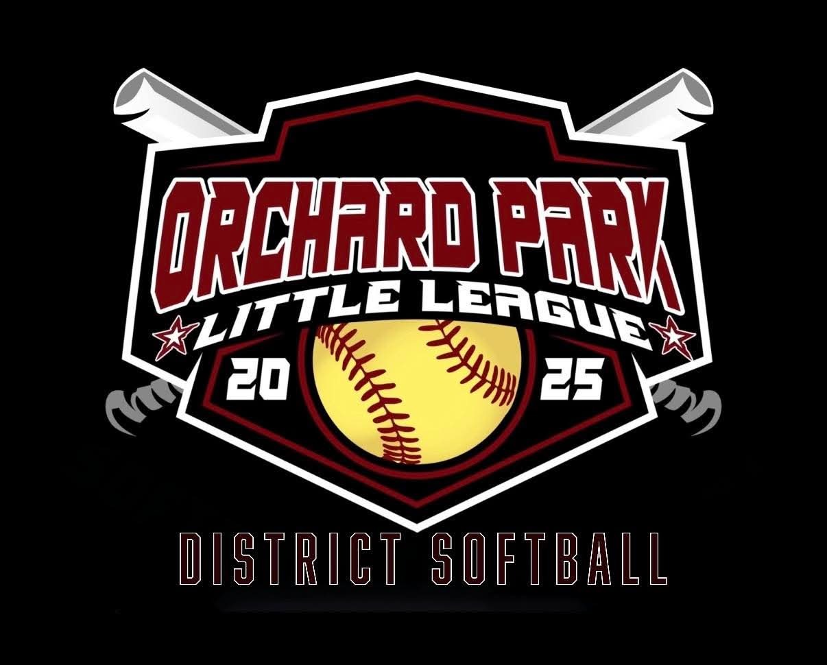 Help OP District 10U Team Head To States campaign photo, 2 of 7