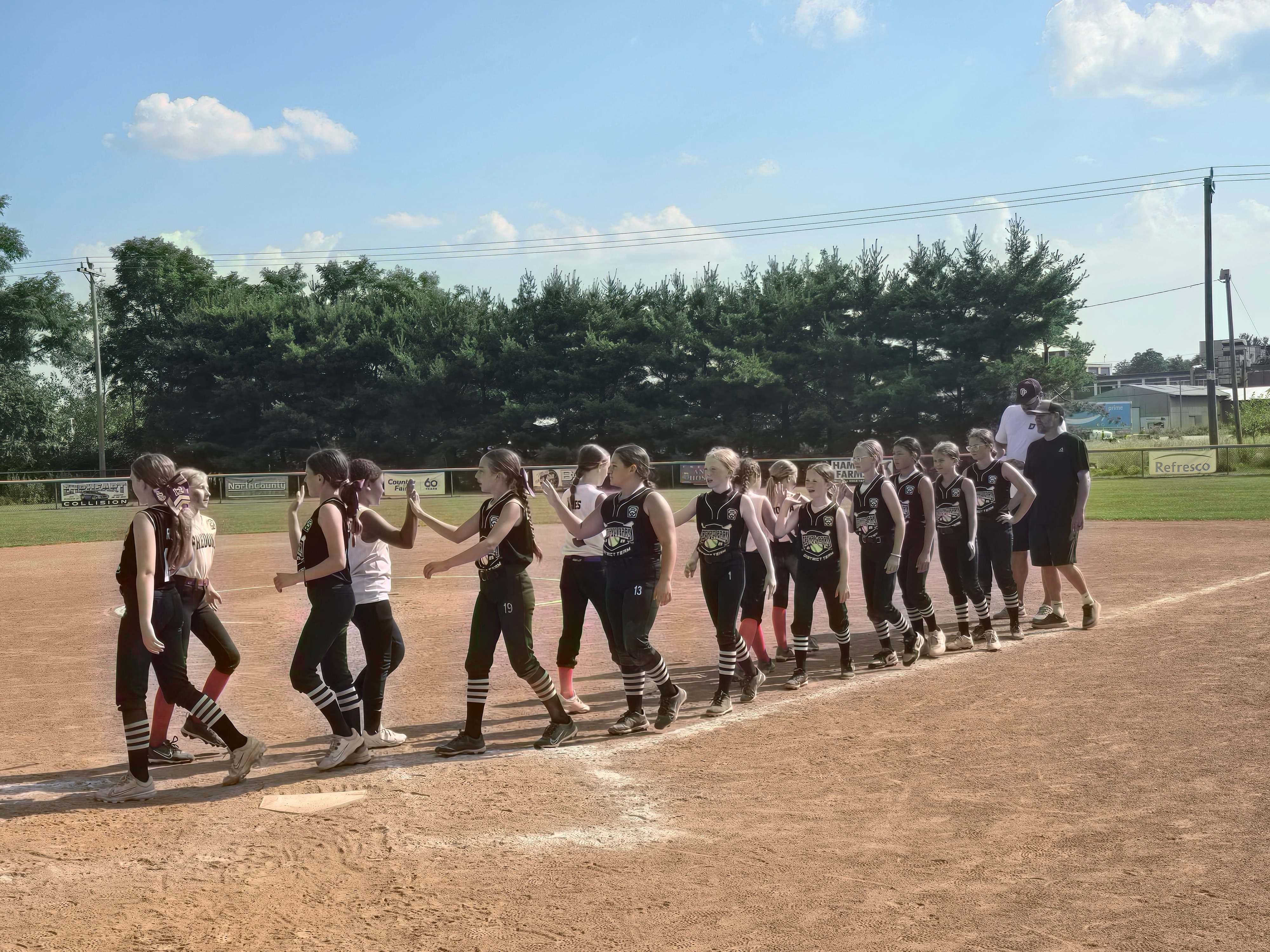 Help OP District 10U Team Head To States campaign photo, 4 of 7