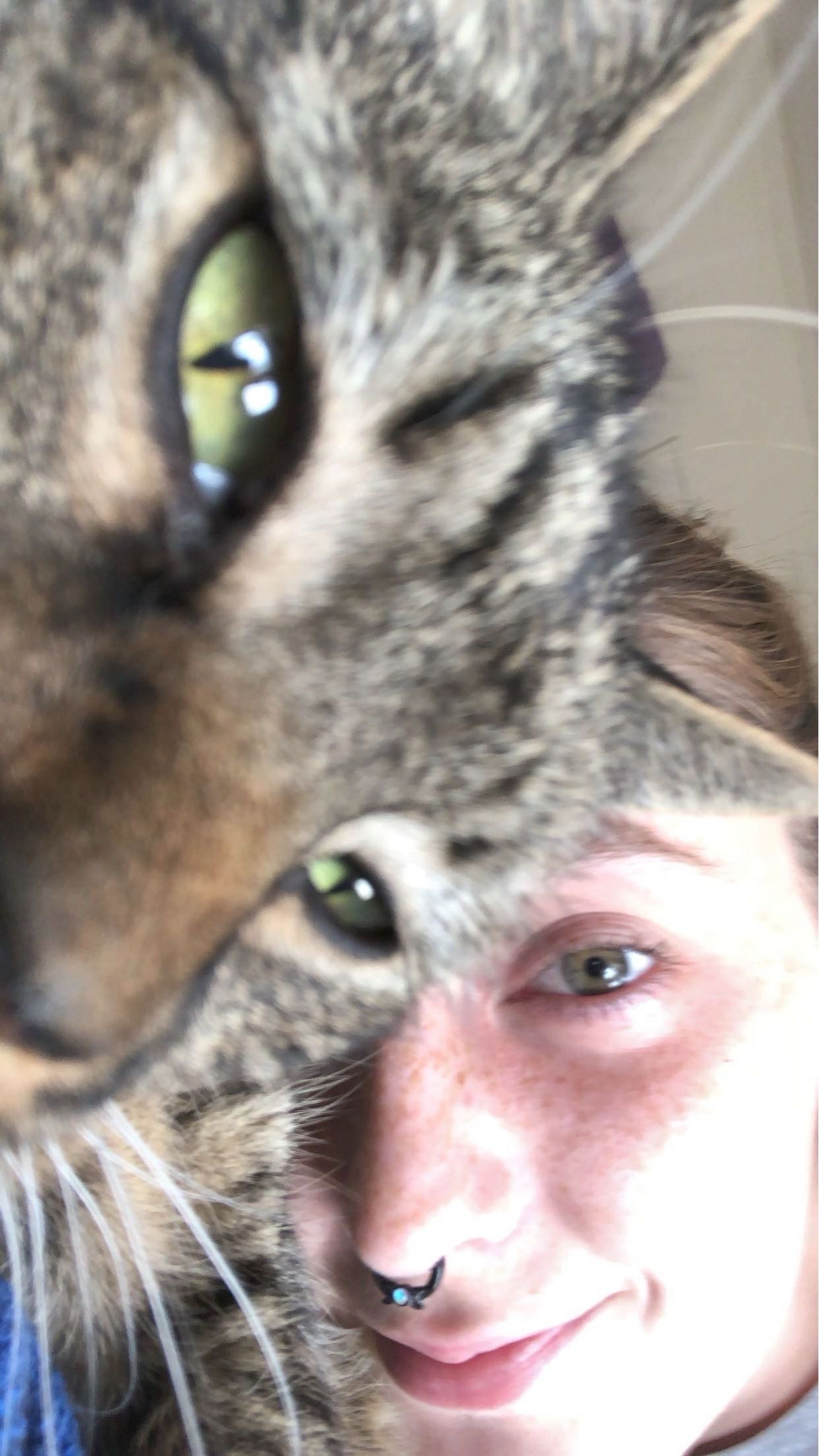 User-uploaded image 1