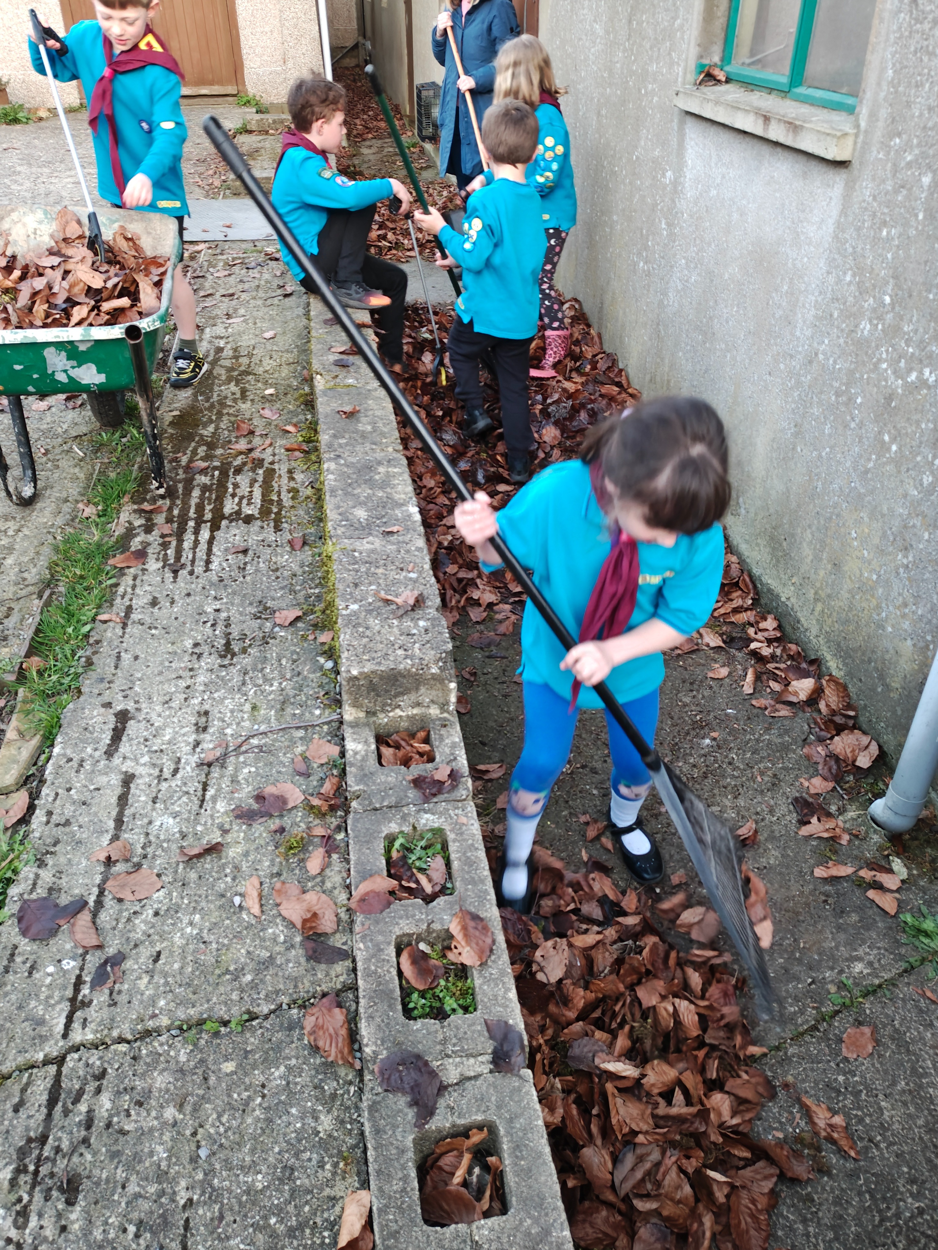 Stroud Valley Scout group. campaign photo, 7 of 8