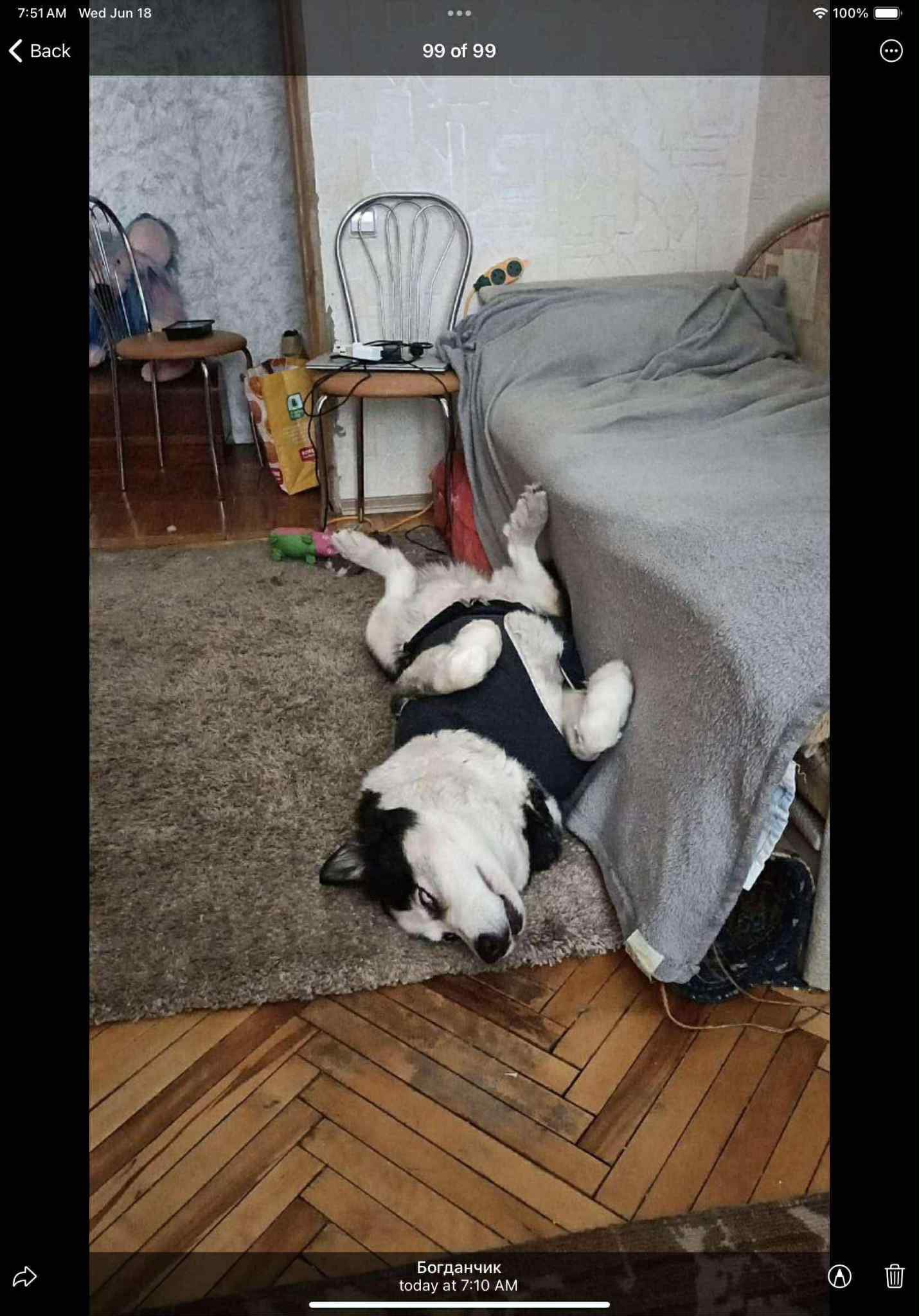 User-uploaded image 1