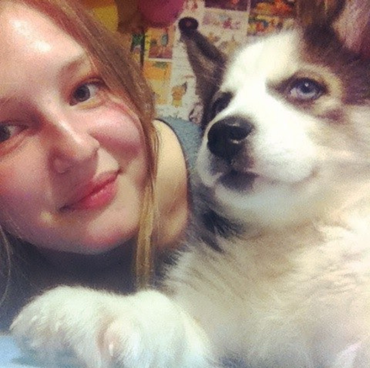 User-uploaded image 2