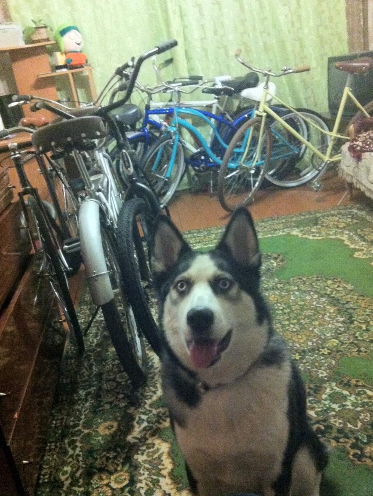 User-uploaded image 4