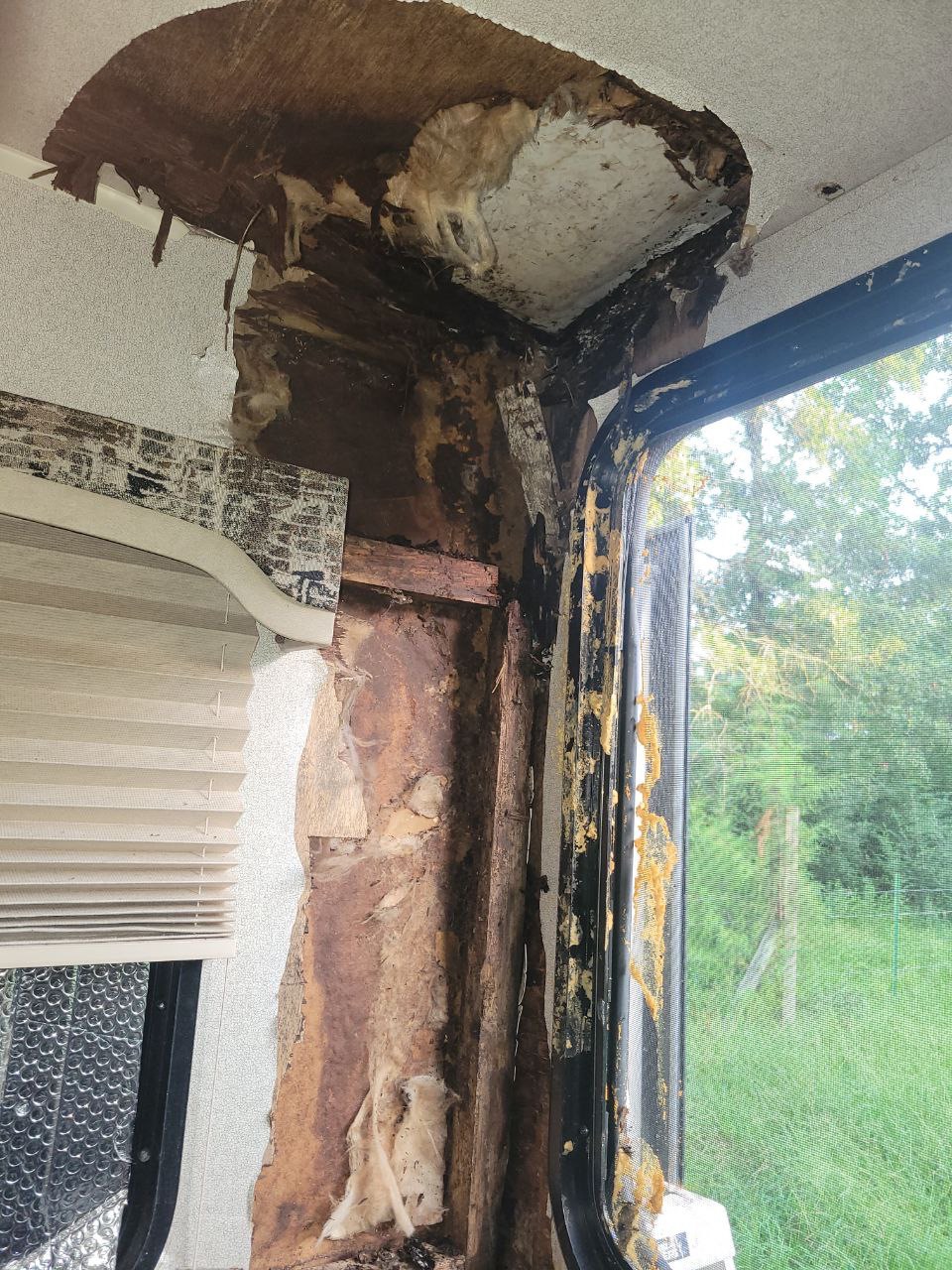 Help Us Repair Carla’s Home After Her Stroke campaign photo, 4 of 8