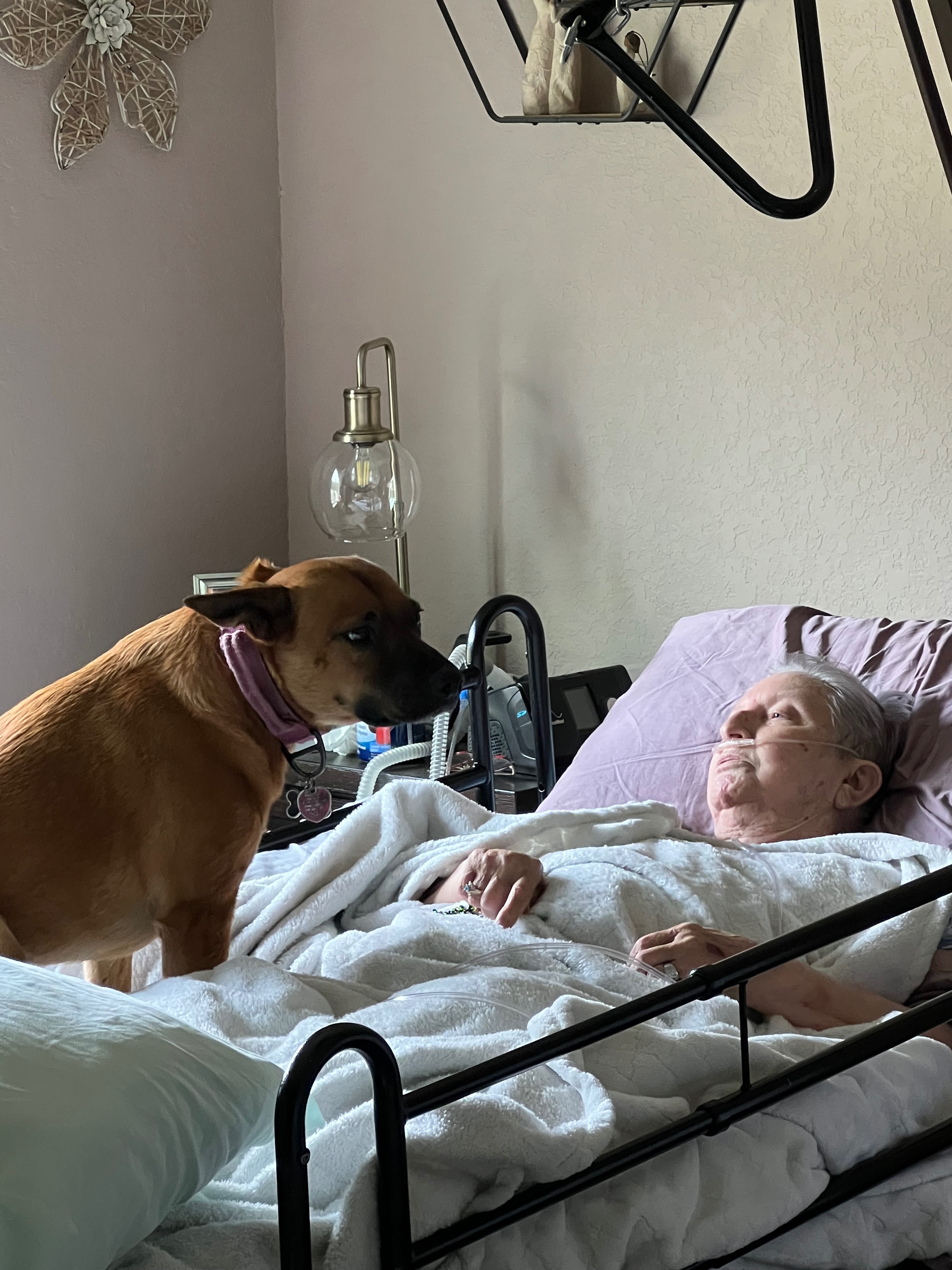 Assist with Funeral Expenses for Our Mom campaign photo, 4 of 5