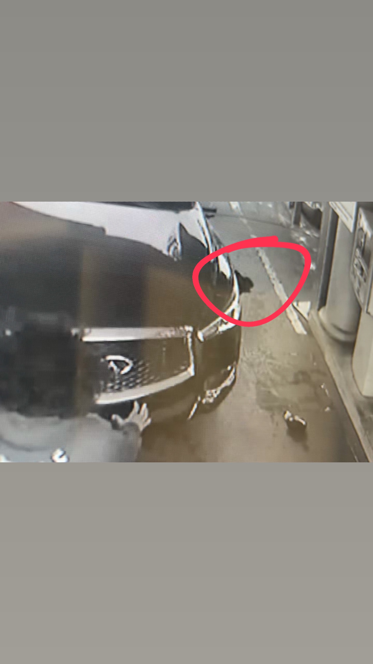 Help Loba Recover From Tragic Accident campaign photo, 7 of 8