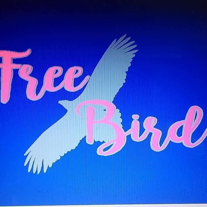 Help Freebird Soar Again After 3 Months Down campaign photo, 6 of 7