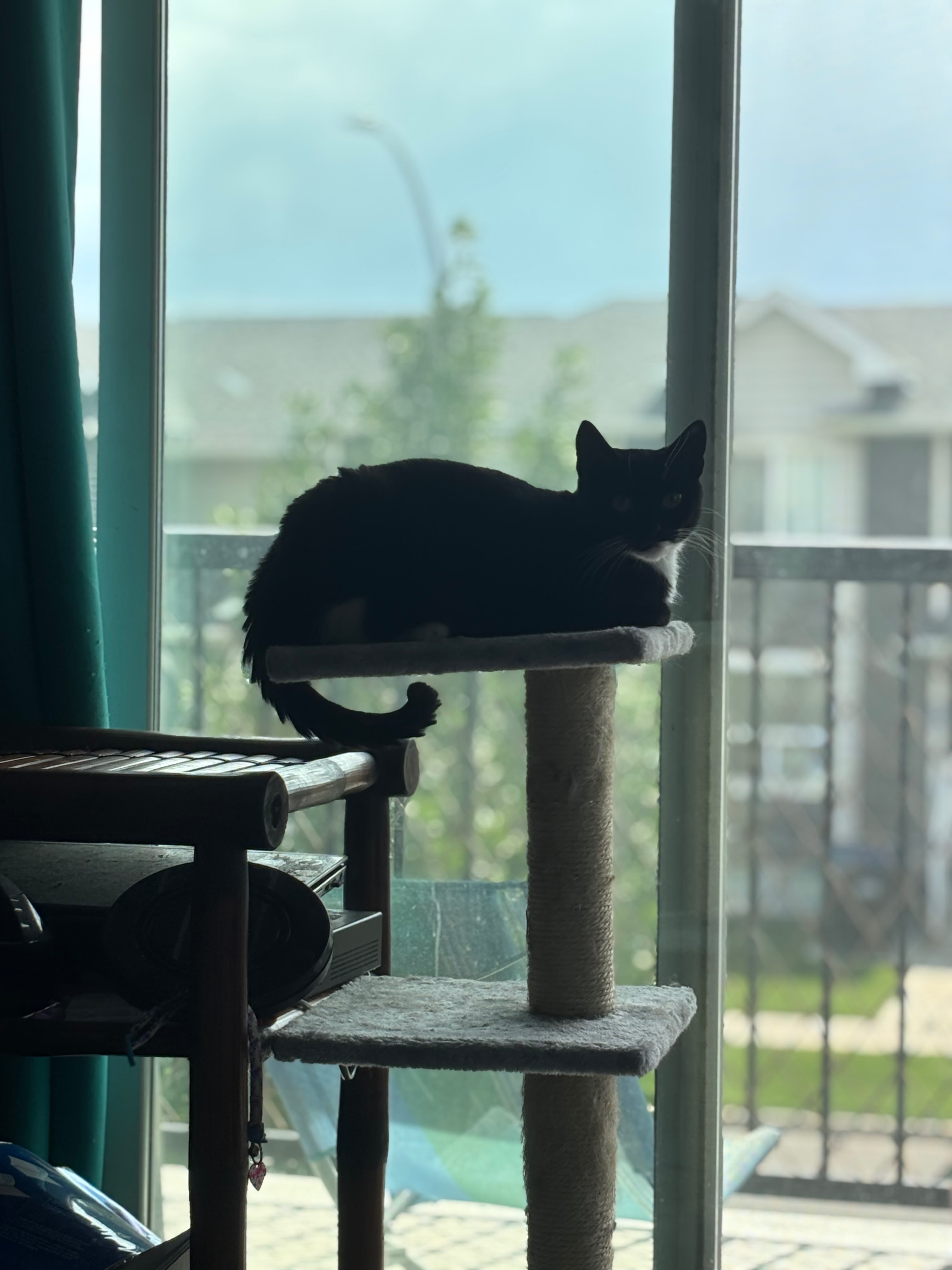 User-uploaded image 1