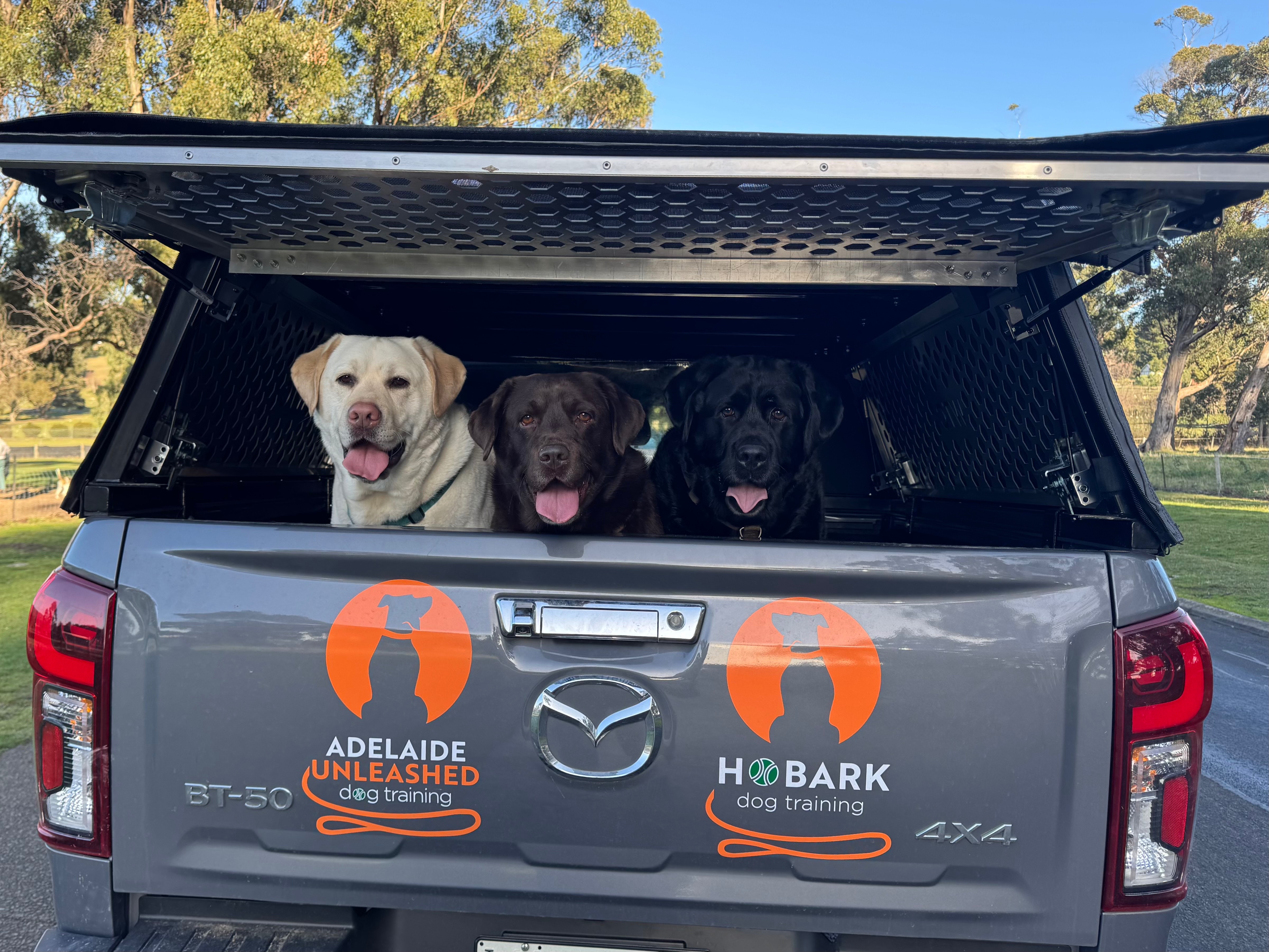 Help a Grieving Family and Their Beloved Labradors campaign photo, 2 of 4