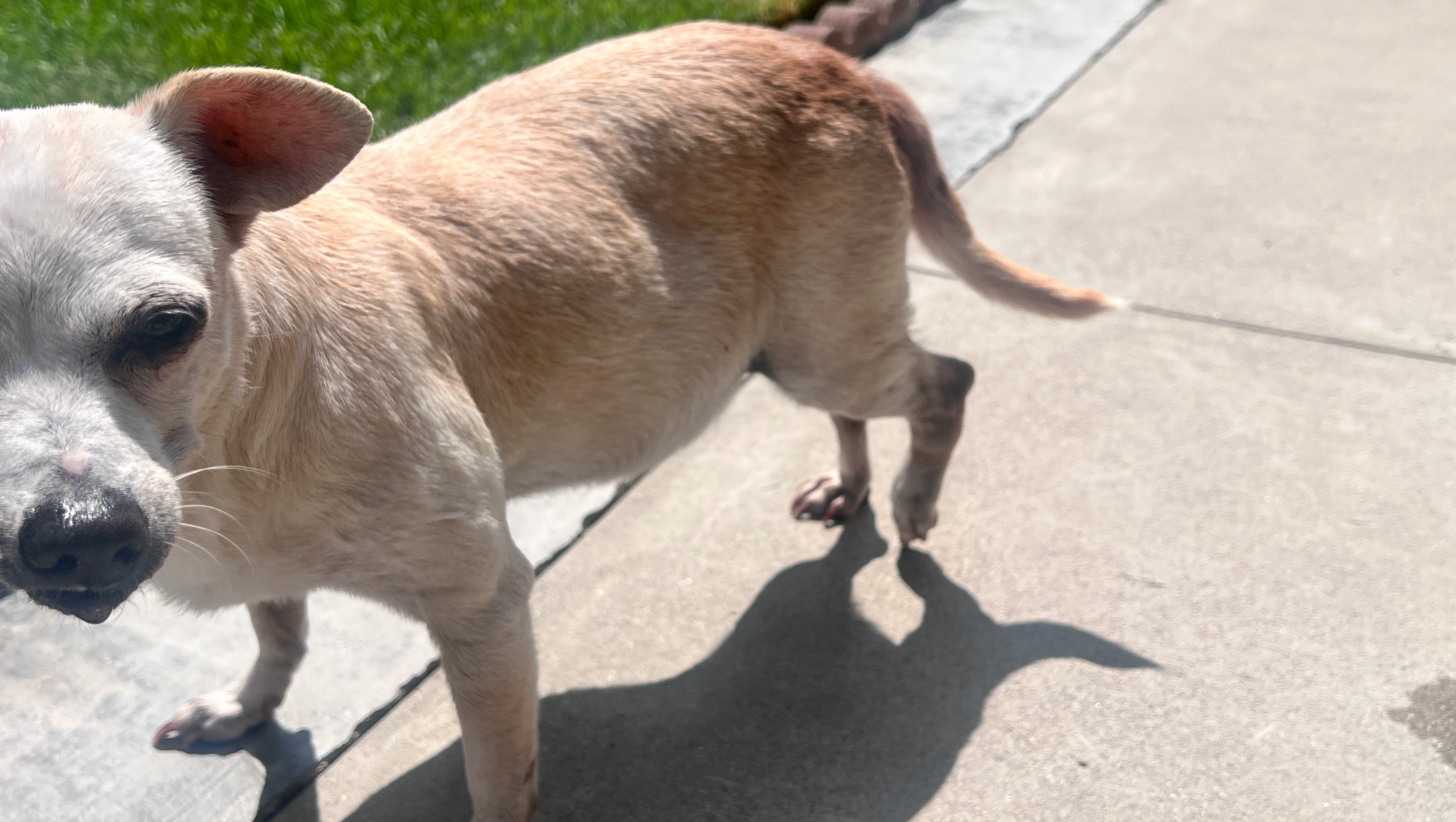 Support Sandy's Road to Recovery photo