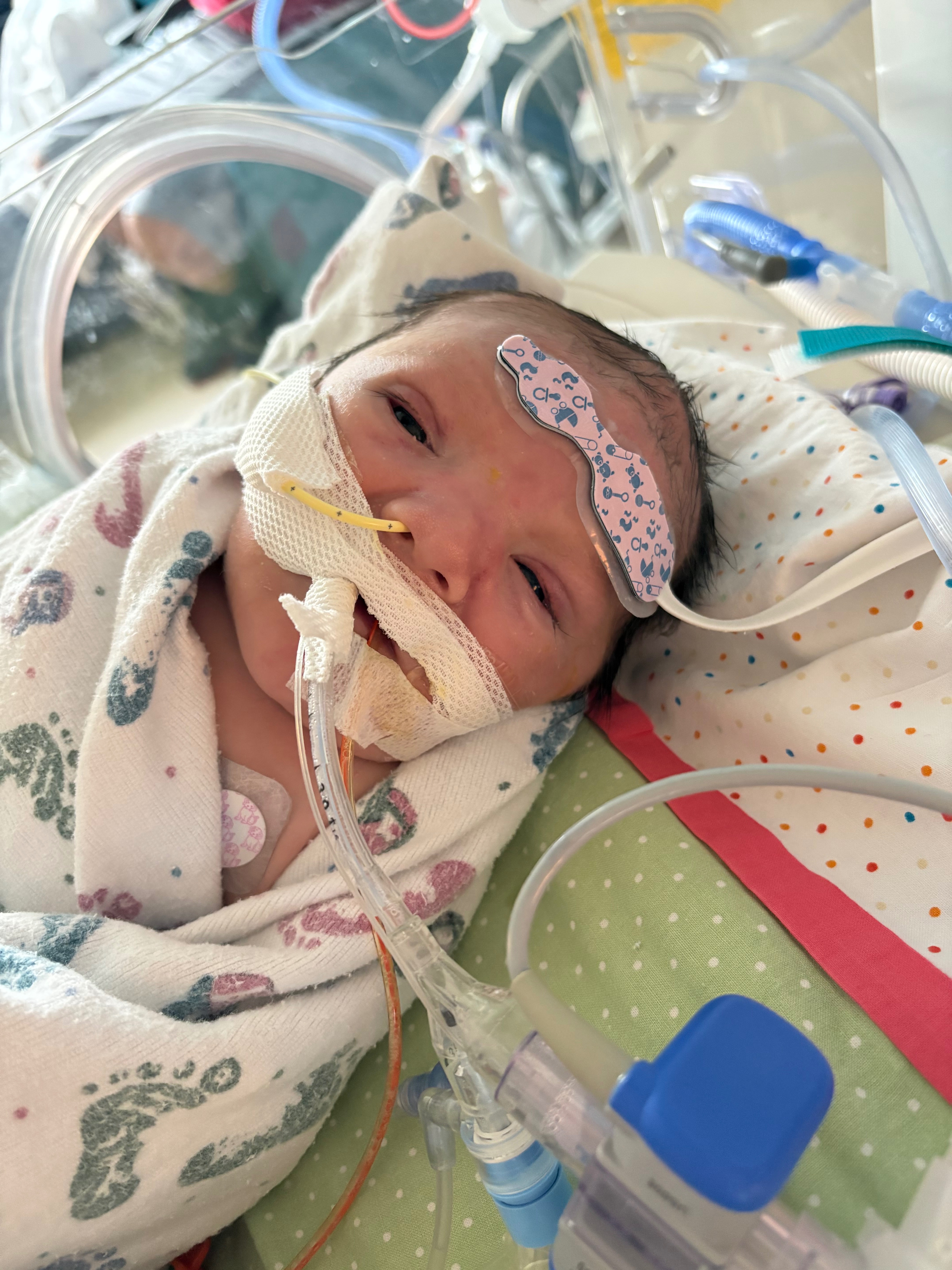 Support Easton's Beautiful Farewell campaign photo, 2 of 5