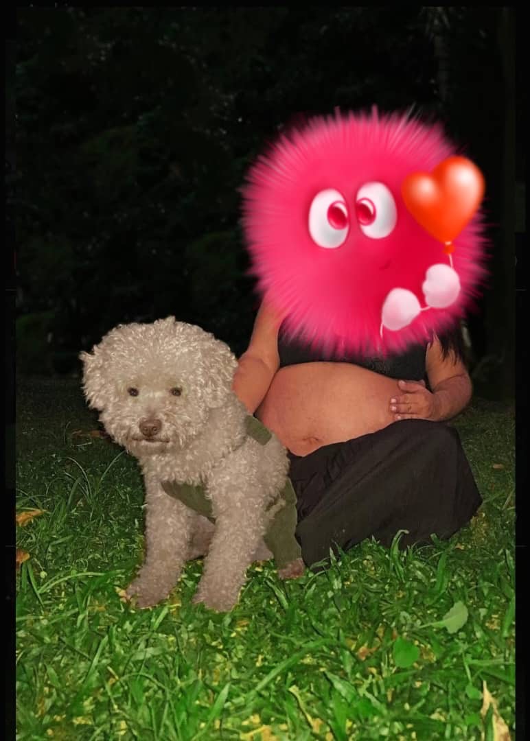 Solicitud de ayuda para Toby campaign photo, 2 of 8