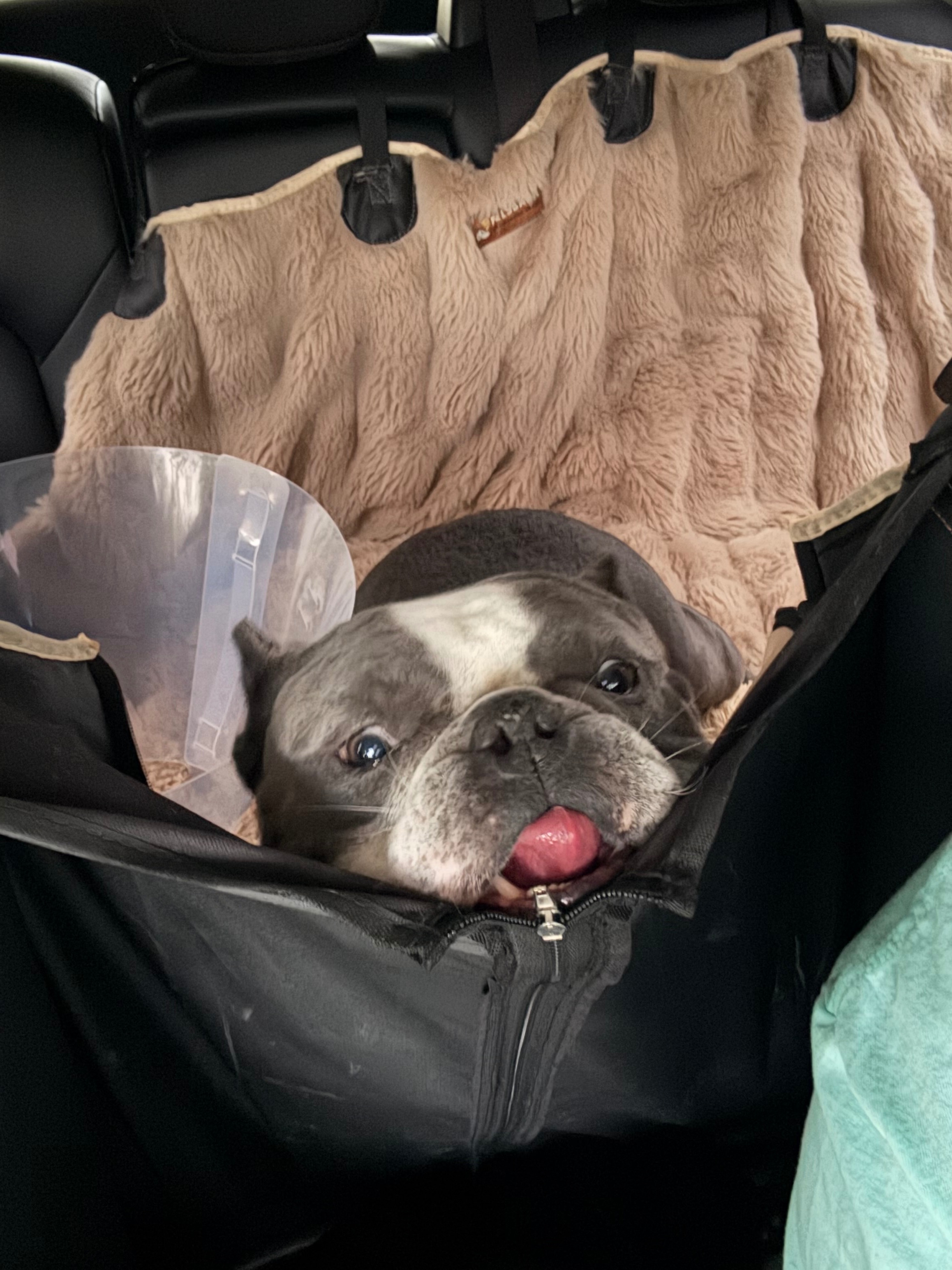 Help Our Little Boy Overcome His Health Crisis campaign photo, 2 of 5