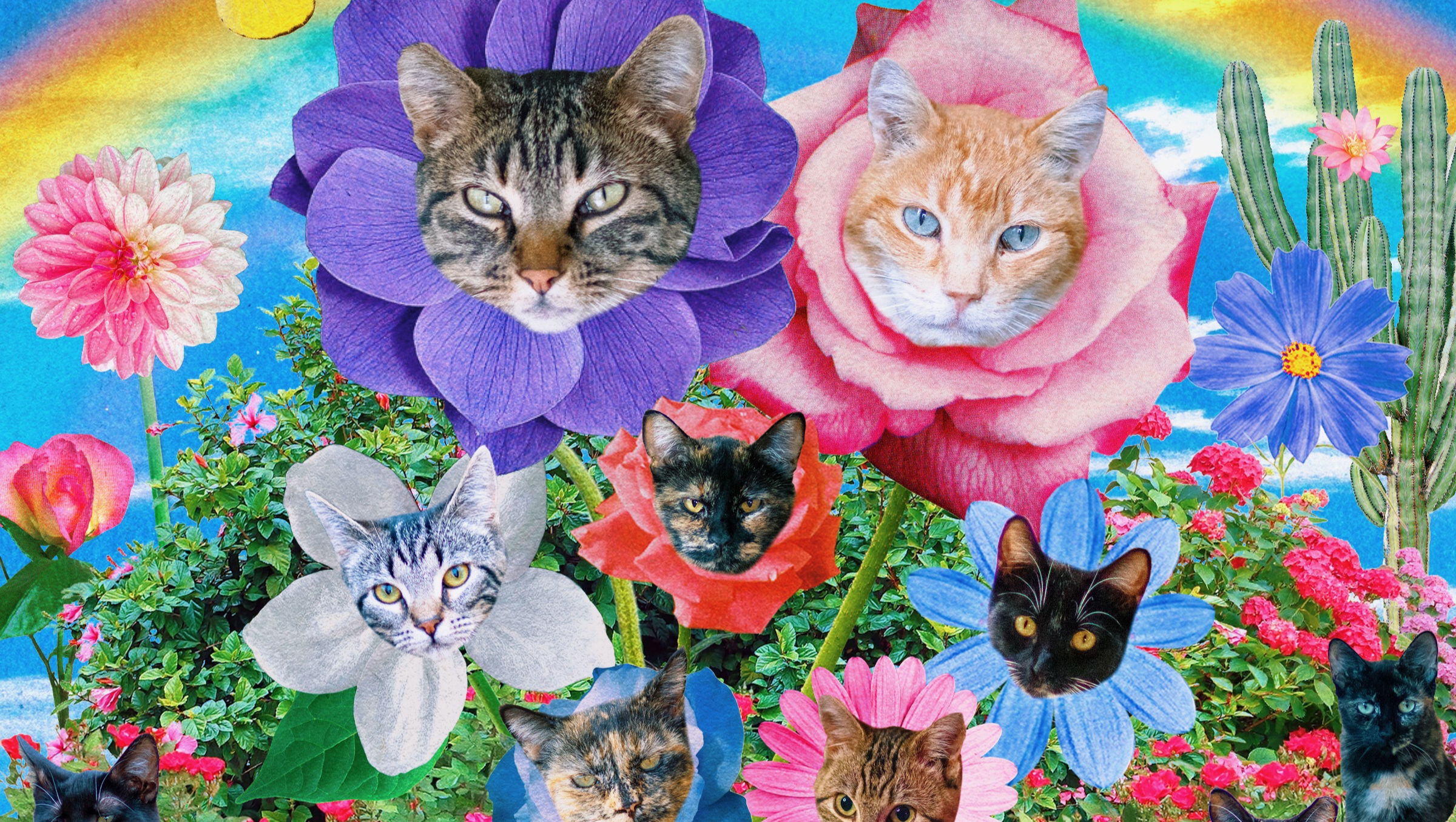 Build a Sanctuary for the Meowborhood Cat Colony