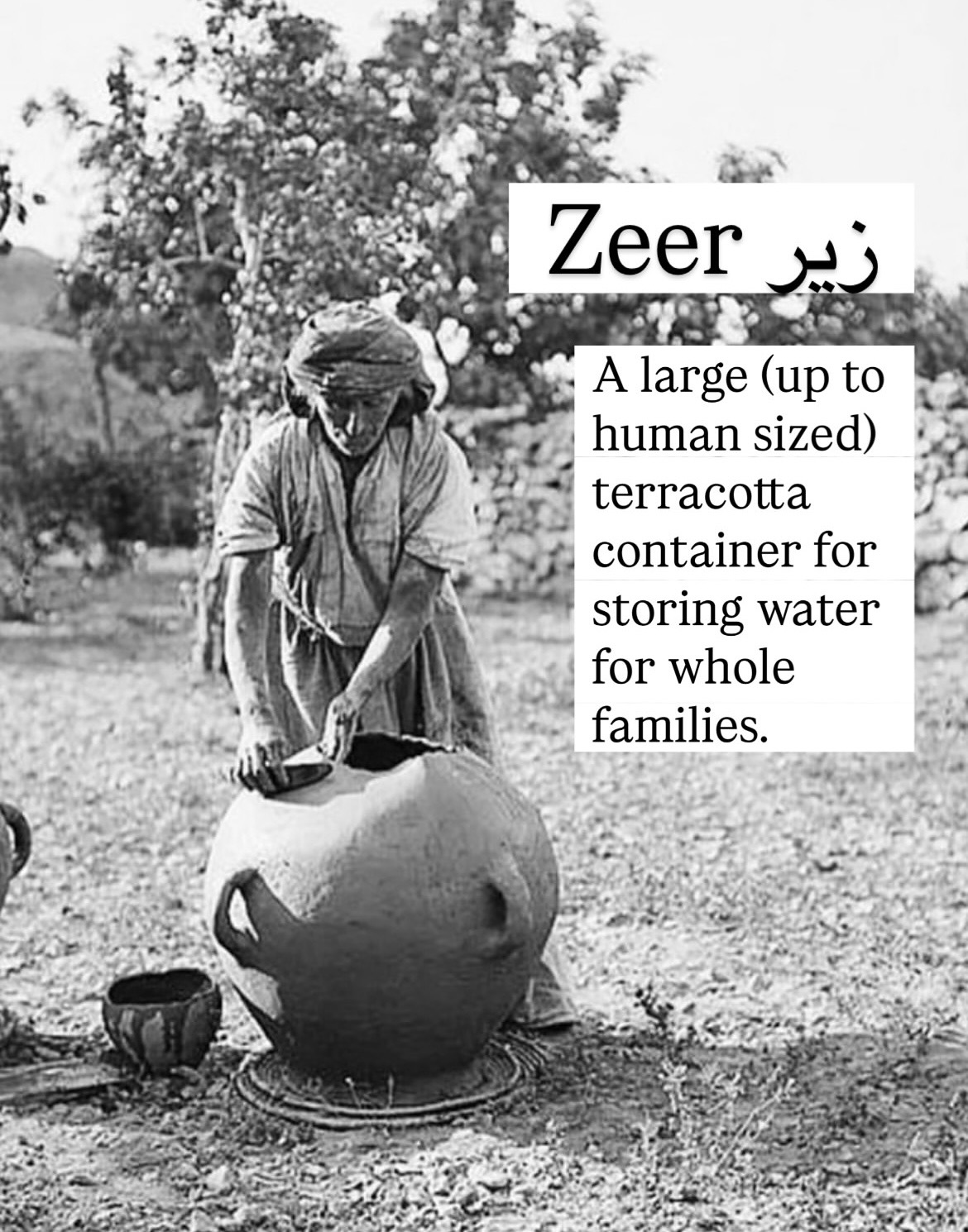 User-uploaded image 4