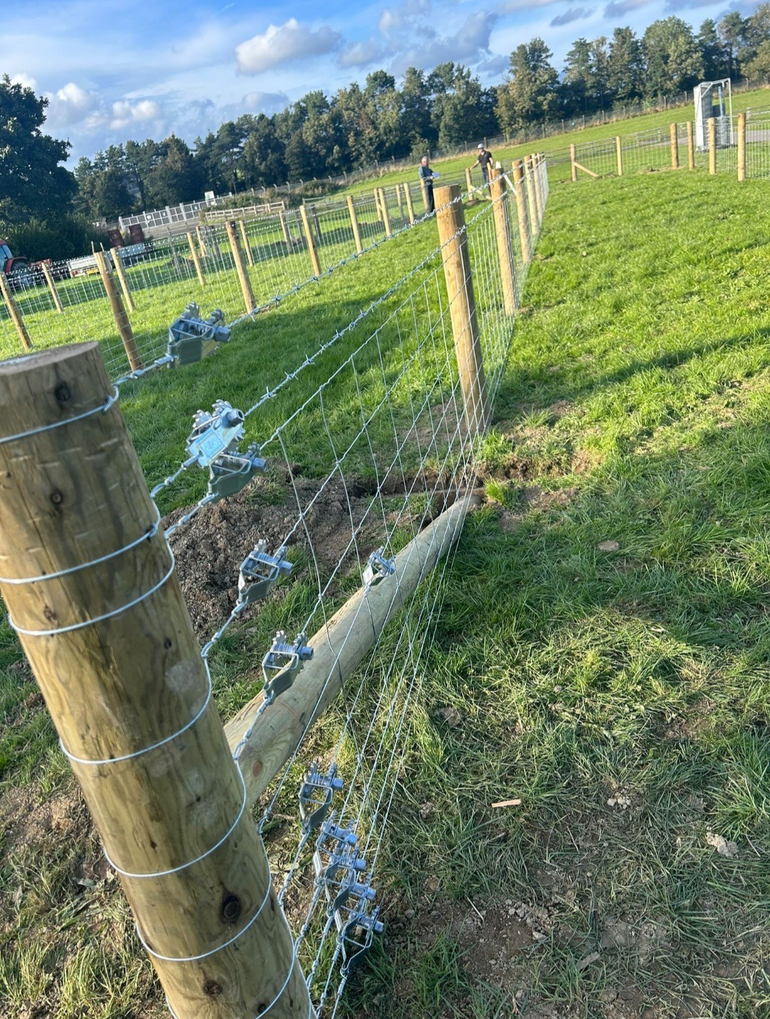 Fence For Frazer 2025 campaign photo, 4 of 6