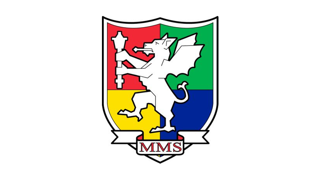 User-uploaded image 1