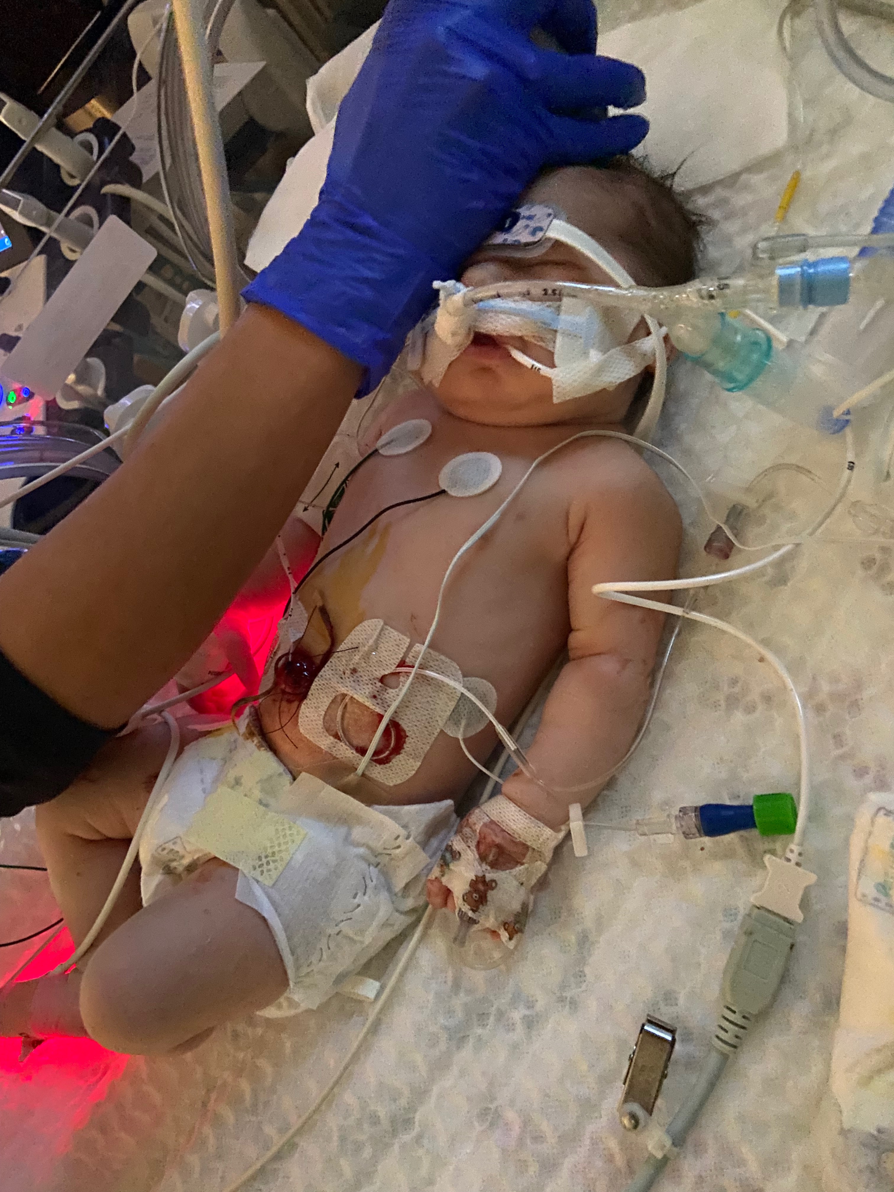 Help Wilder Jane Heal & Thrive After a Traumatic Birth campaign photo, 2 of 6