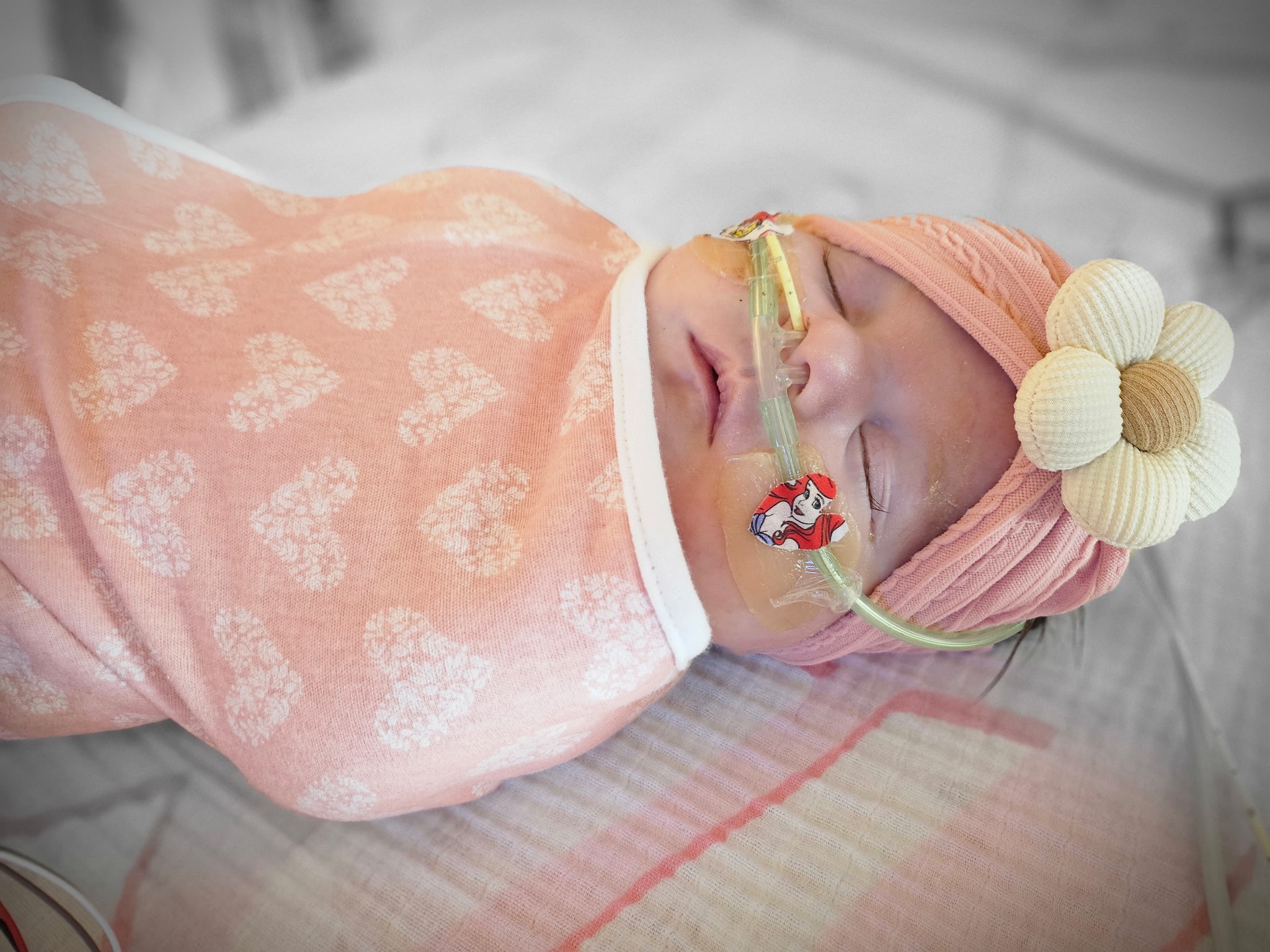 Support Felicia & Preston After the Loss of Baby Bristol campaign photo, 7 of 7