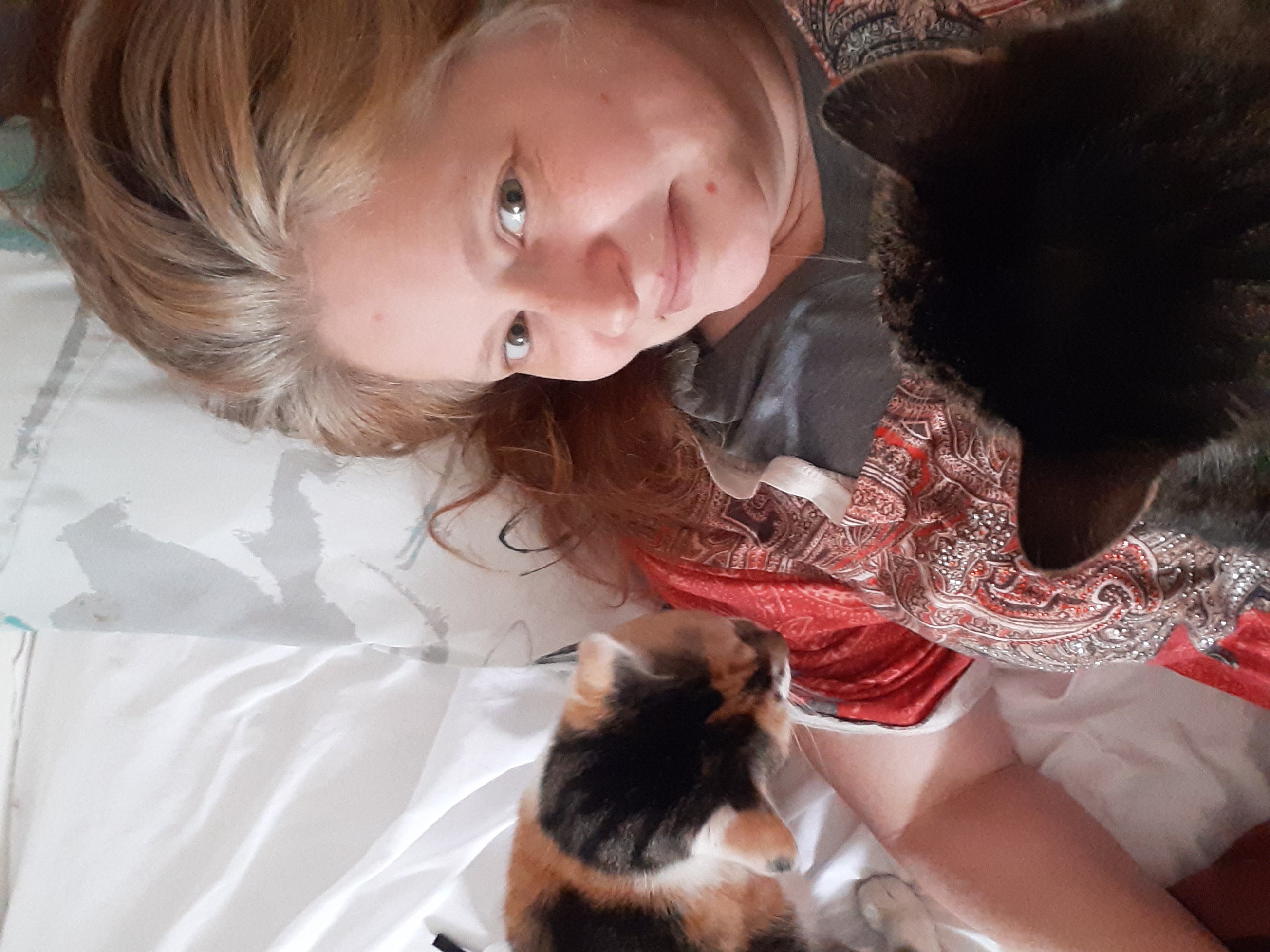 Help me care for my kitties and get my car back! campaign photo, 5 of 7