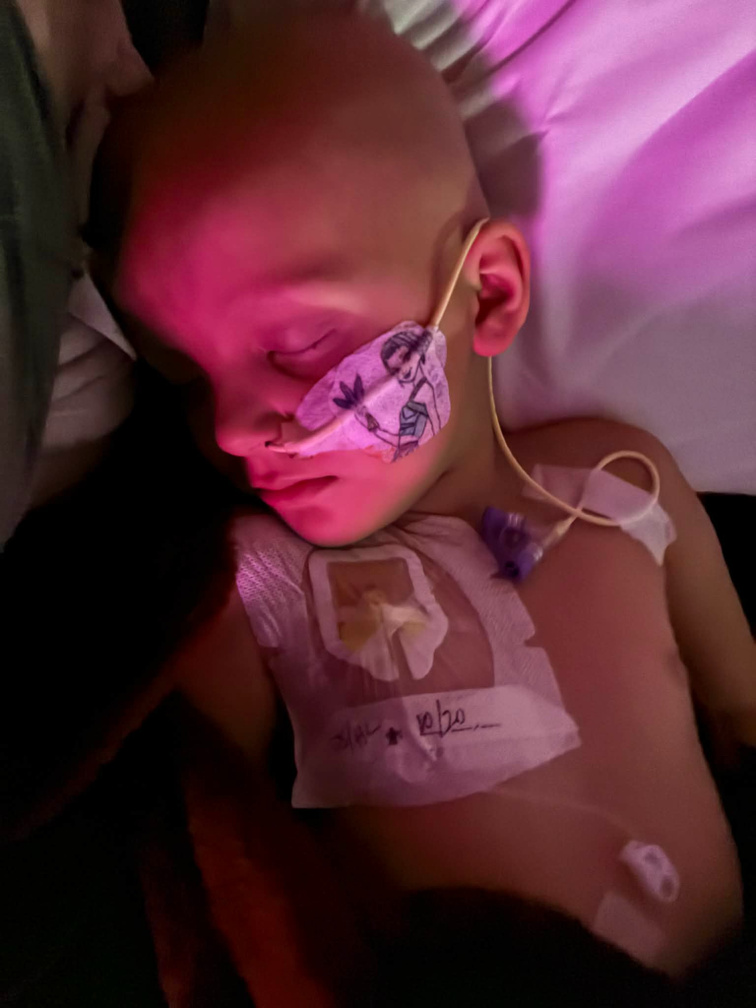 Our Princess Warrior needs your help campaign photo, 5 of 8