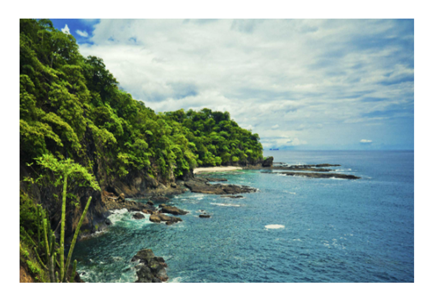 Year 11 Costa Rica Trip! campaign photo, 2 of 4