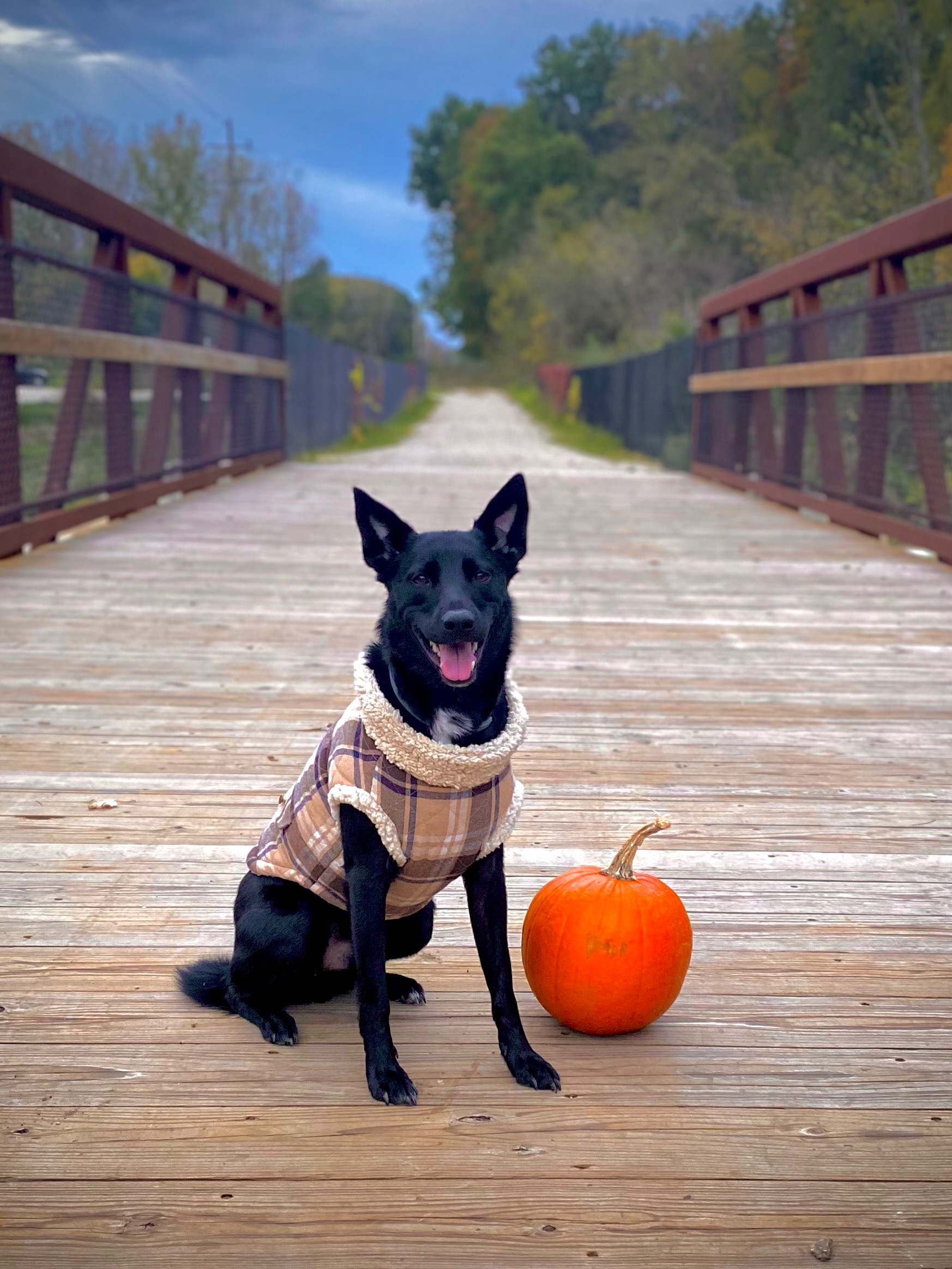 Asja Saved Me—Now He Needs Your Help campaign photo, 2 of 4