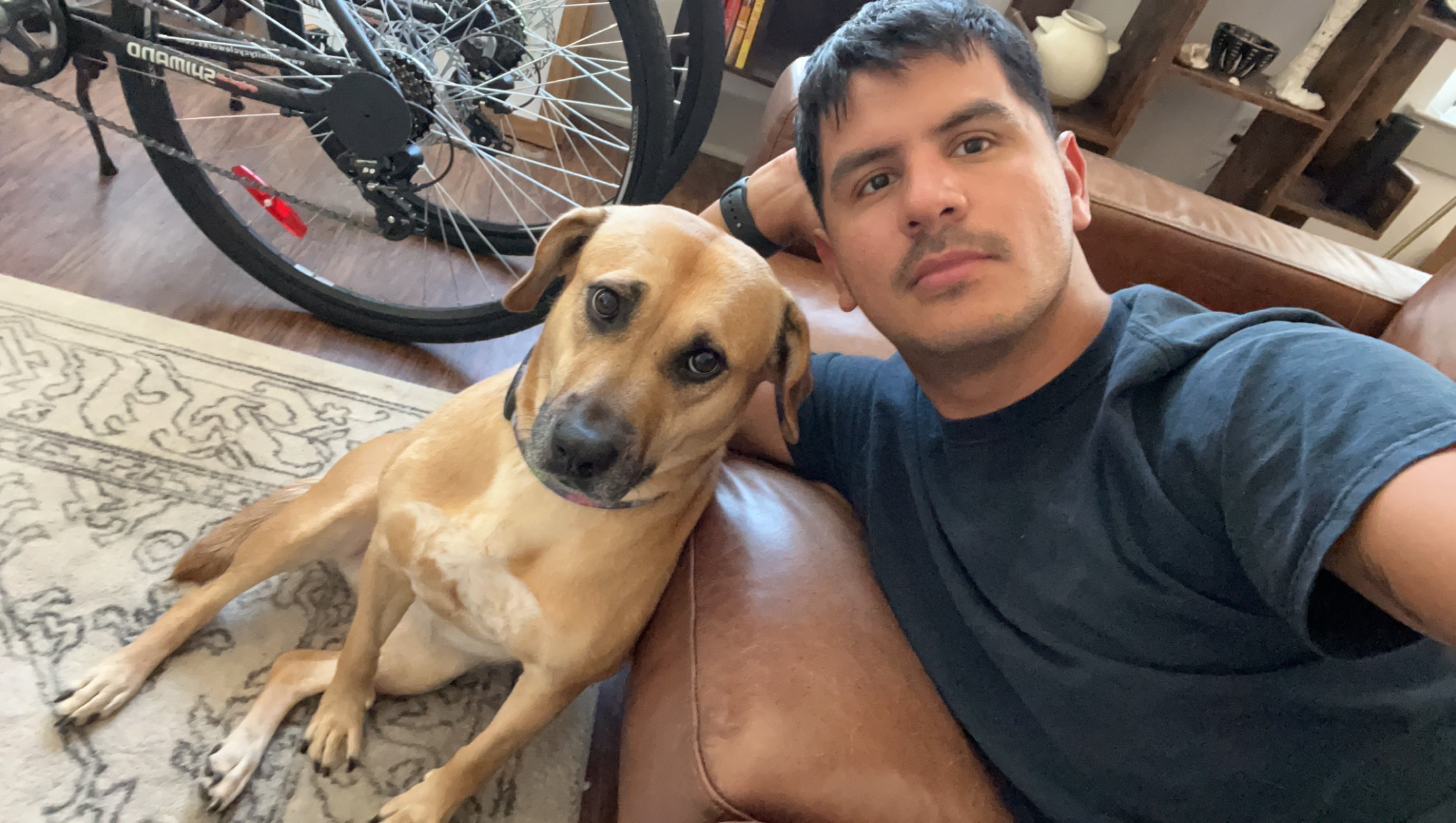 Keep Us Together: Help Pepper and Me photo