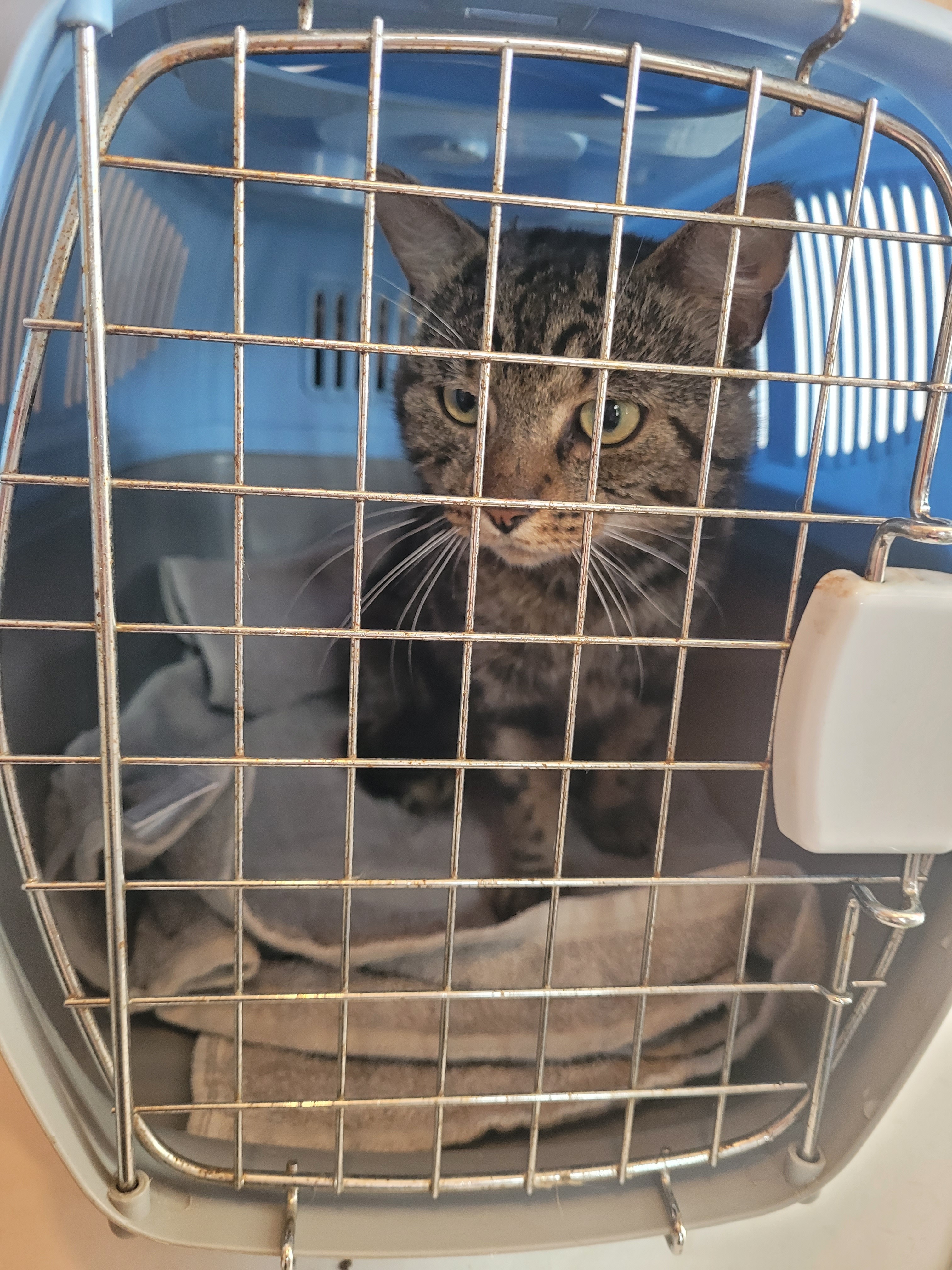Cover baby bams vet expenses campaign photo, 2 of 5