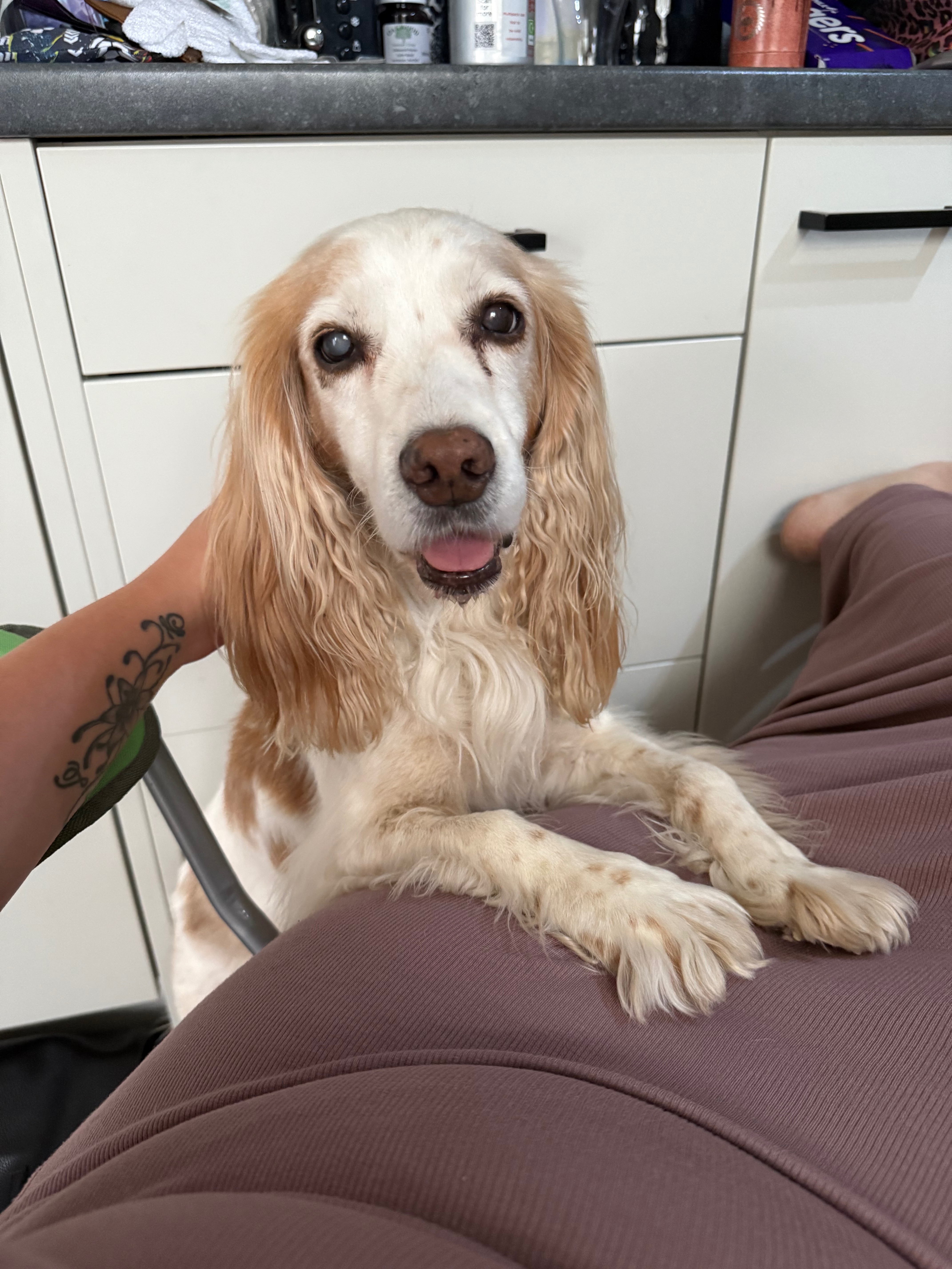 Tess’s Vaginal Mass Surgery campaign photo, 2 of 8