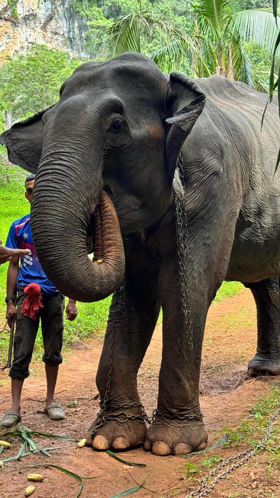 User-uploaded image 1