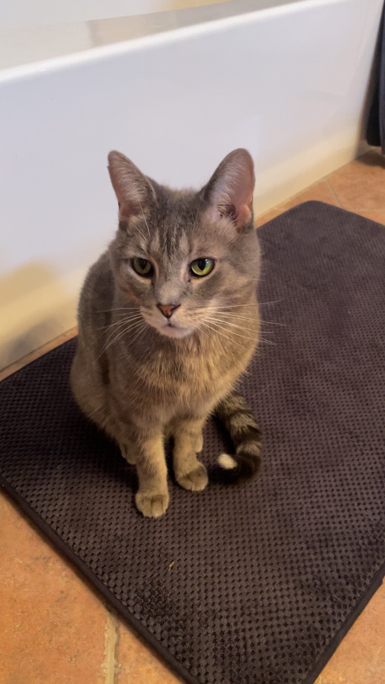 Help Fund Lewis's Tumor Surgery campaign photo, 2 of 4
