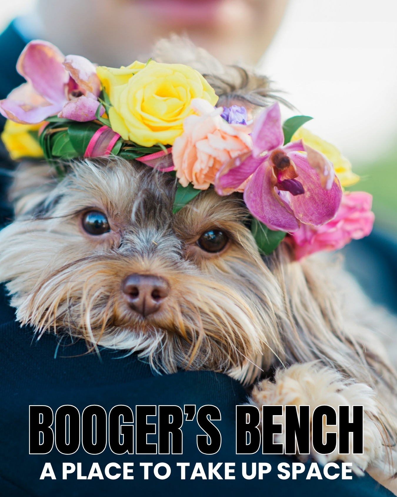 Booger's Bench: A Place to Take Up Space campaign photo, 4 of 6