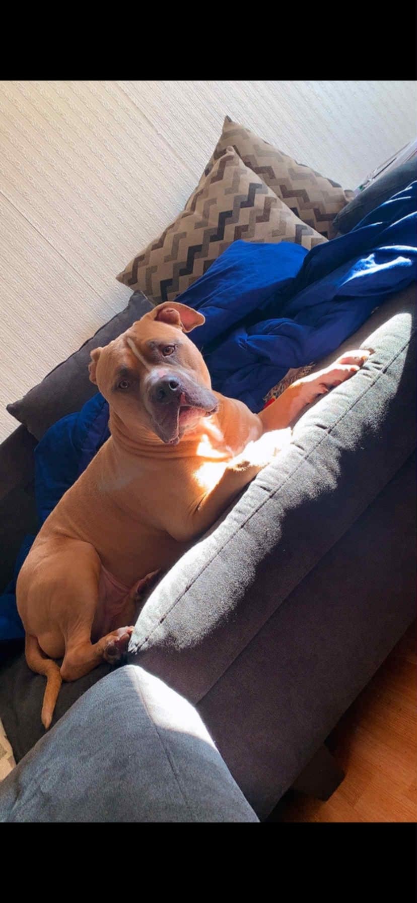 Help Save Keenan’s Life campaign photo, 7 of 7