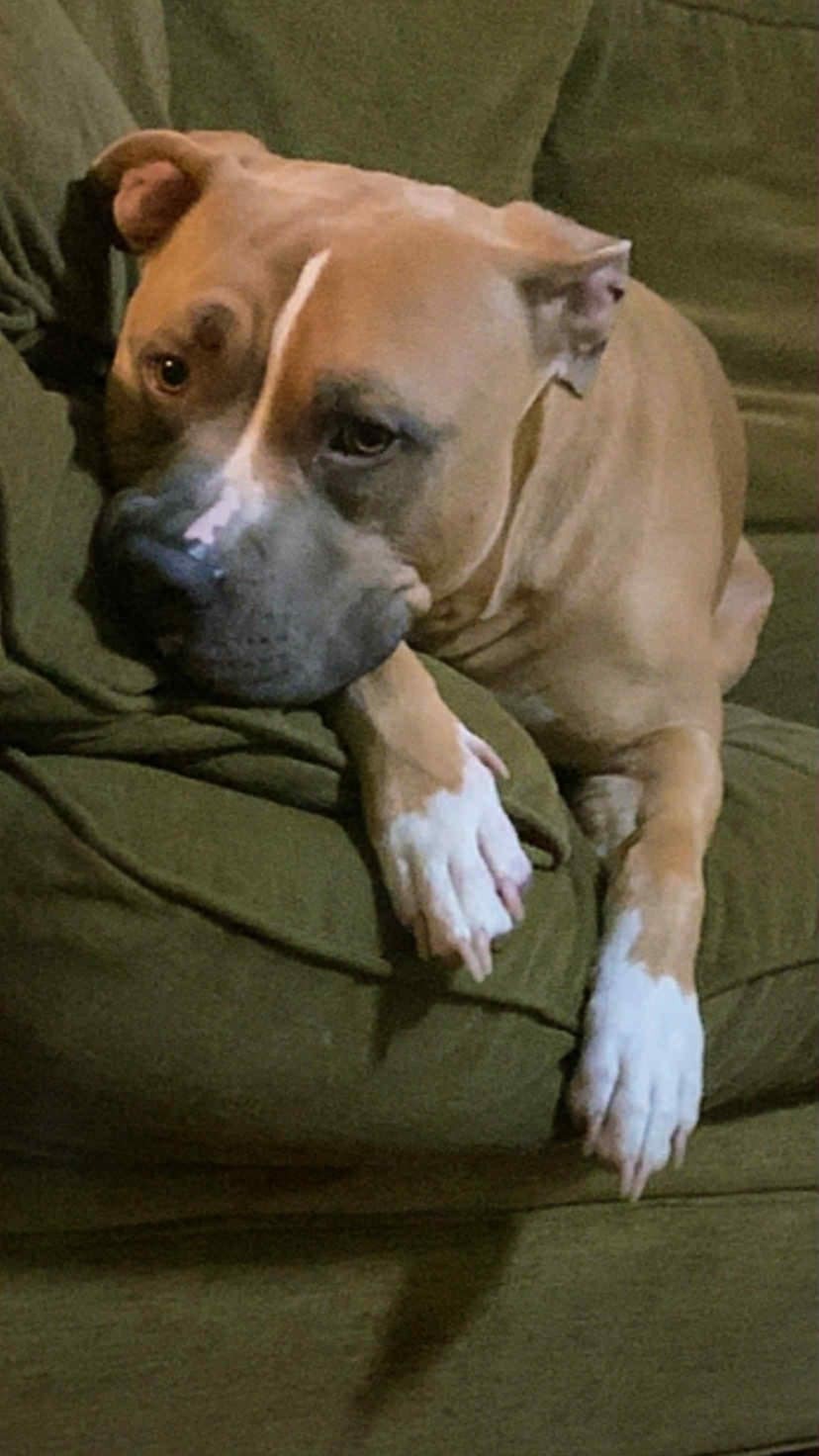 Help Save Keenan’s Life campaign photo, 2 of 7