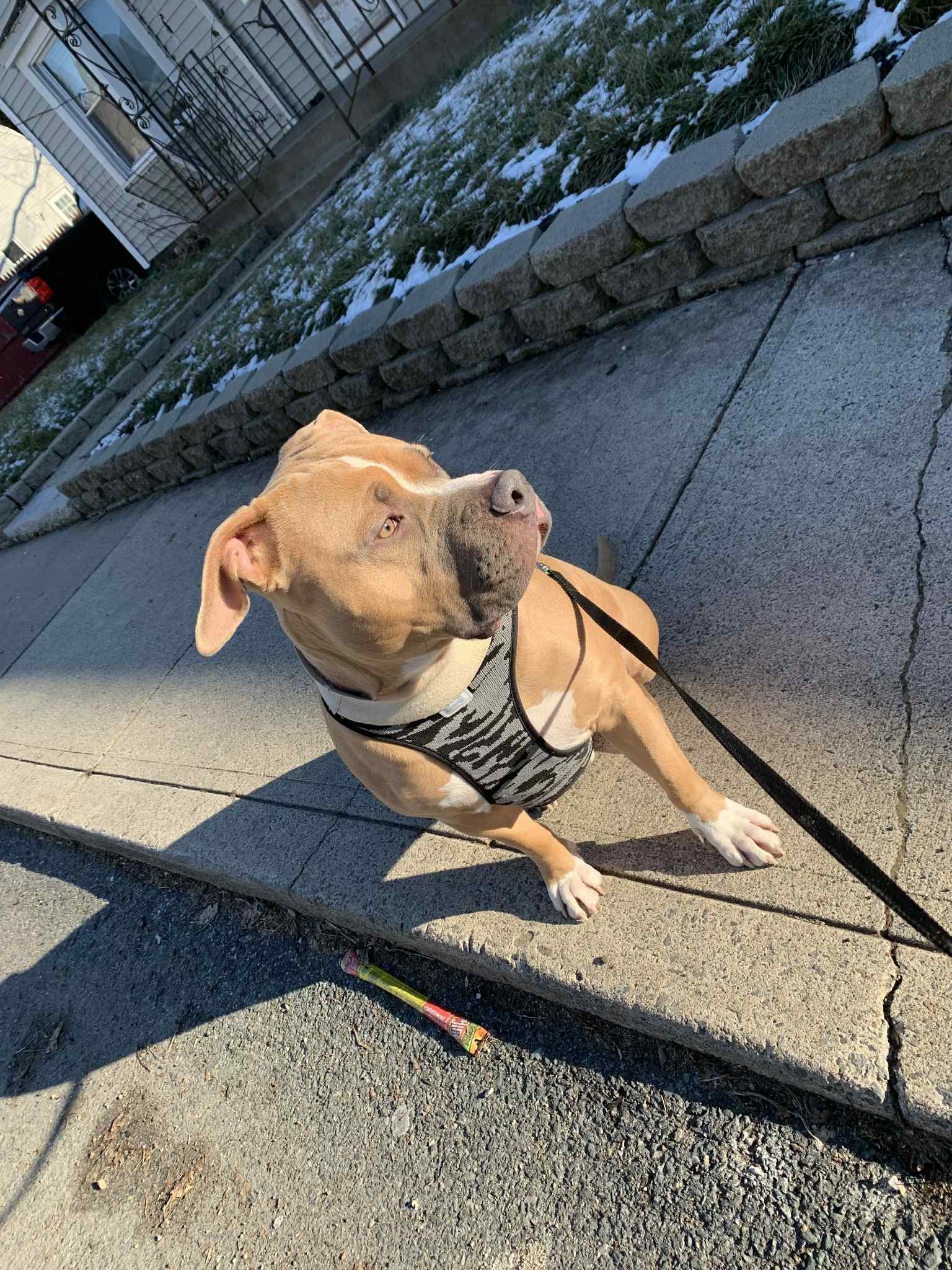 Help Save Keenan’s Life campaign photo, 4 of 7