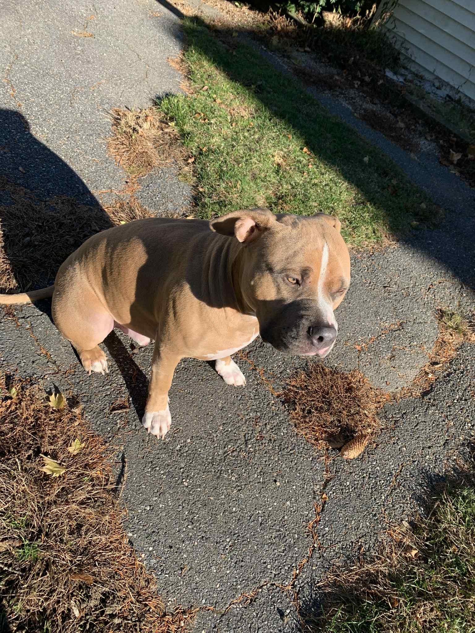 Help Save Keenan’s Life campaign photo, 5 of 7